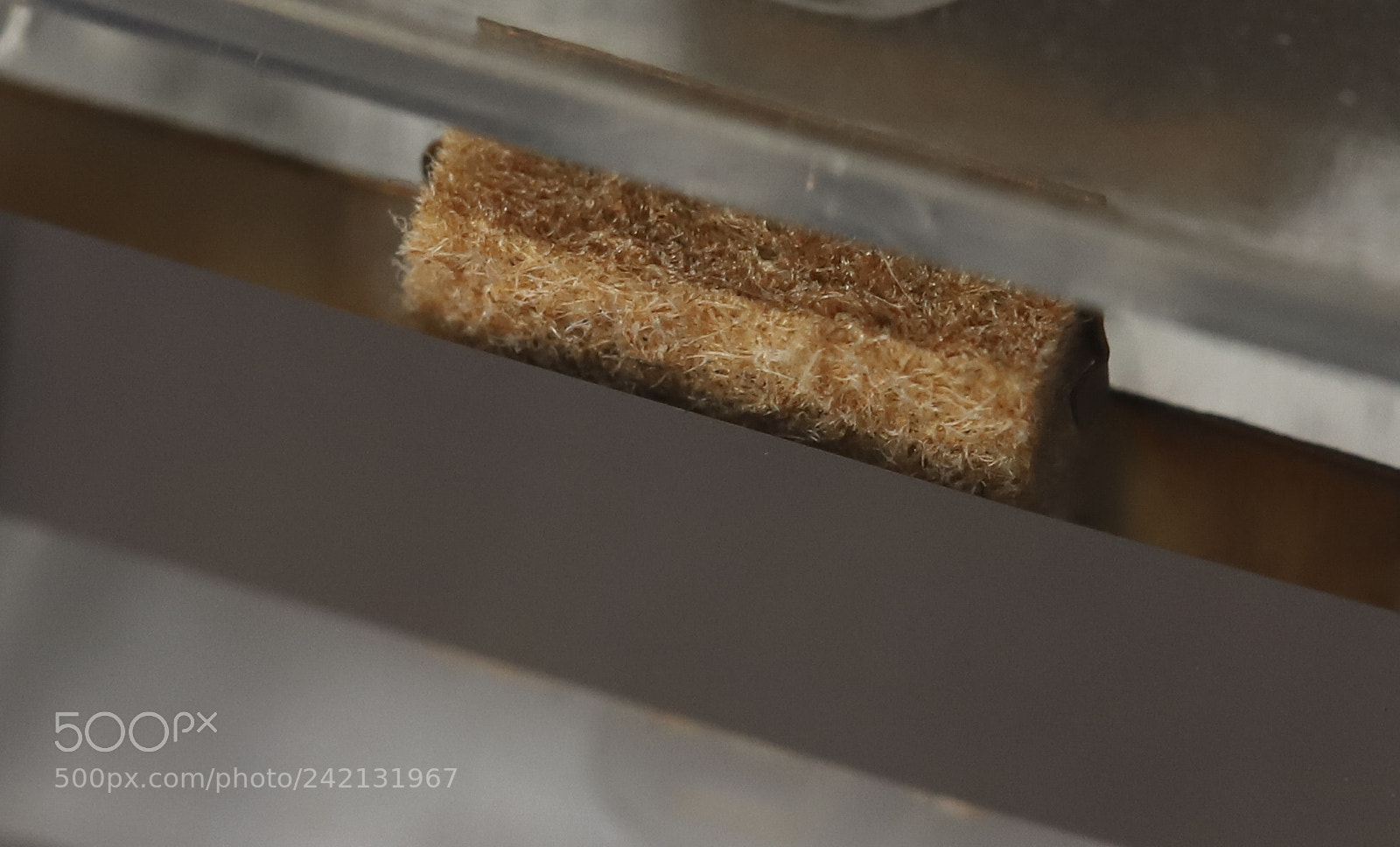 Canon EOS 6D Mark II sample photo. Macro look at stuff photography