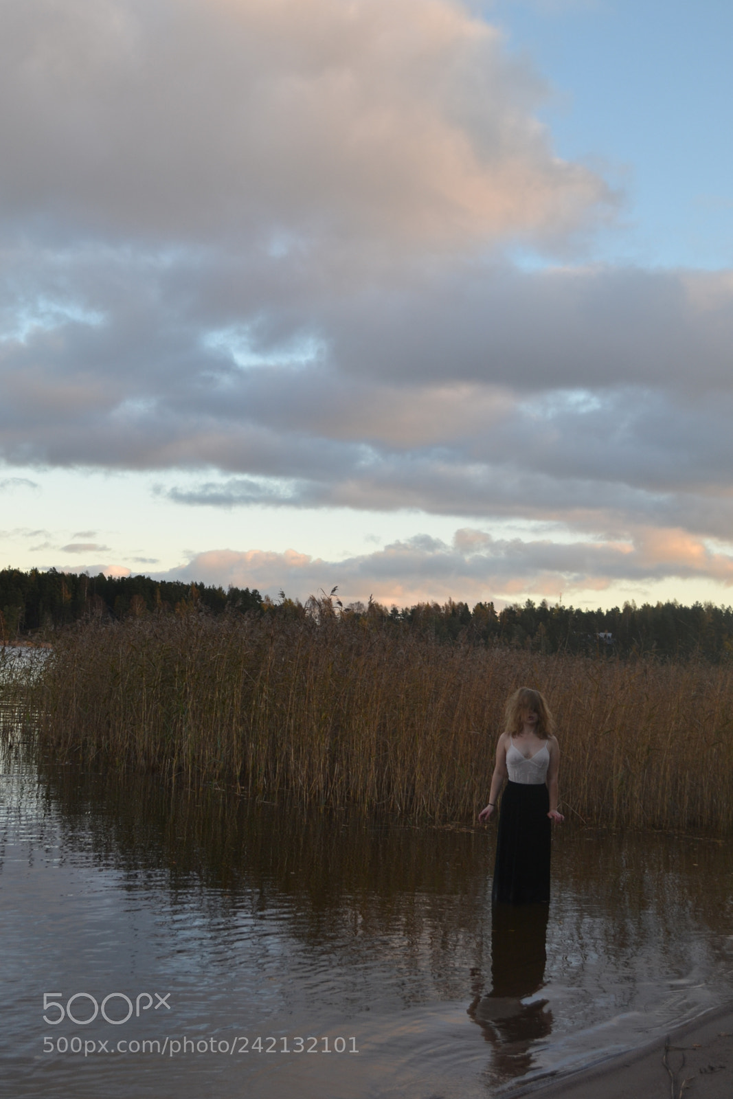 Nikon D3100 sample photo. Witch in water photography