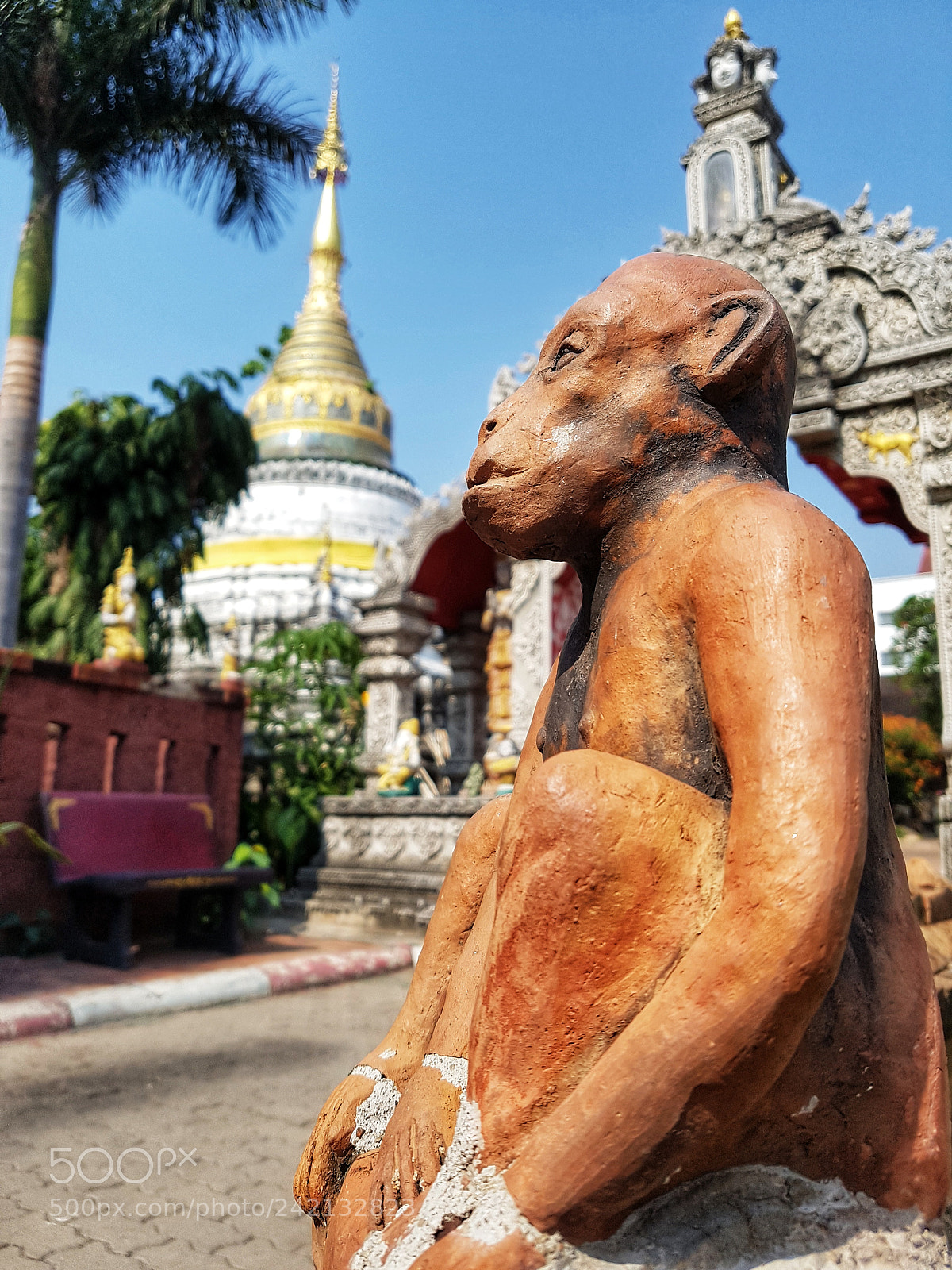 Samsung Galaxy S7 Edge sample photo. Buddhist monkey photography