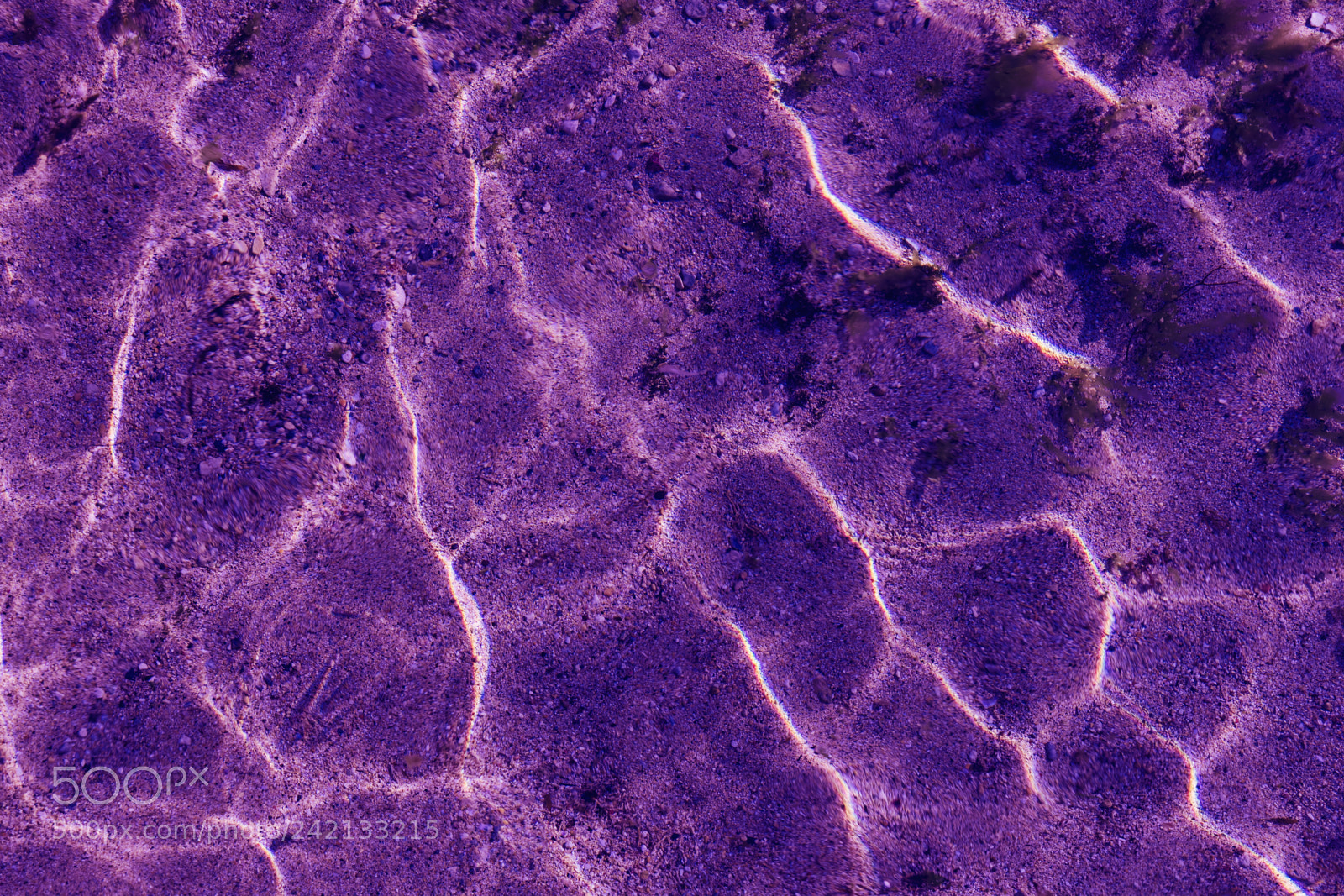 Sony a7 sample photo. Ultra violet pattern of photography