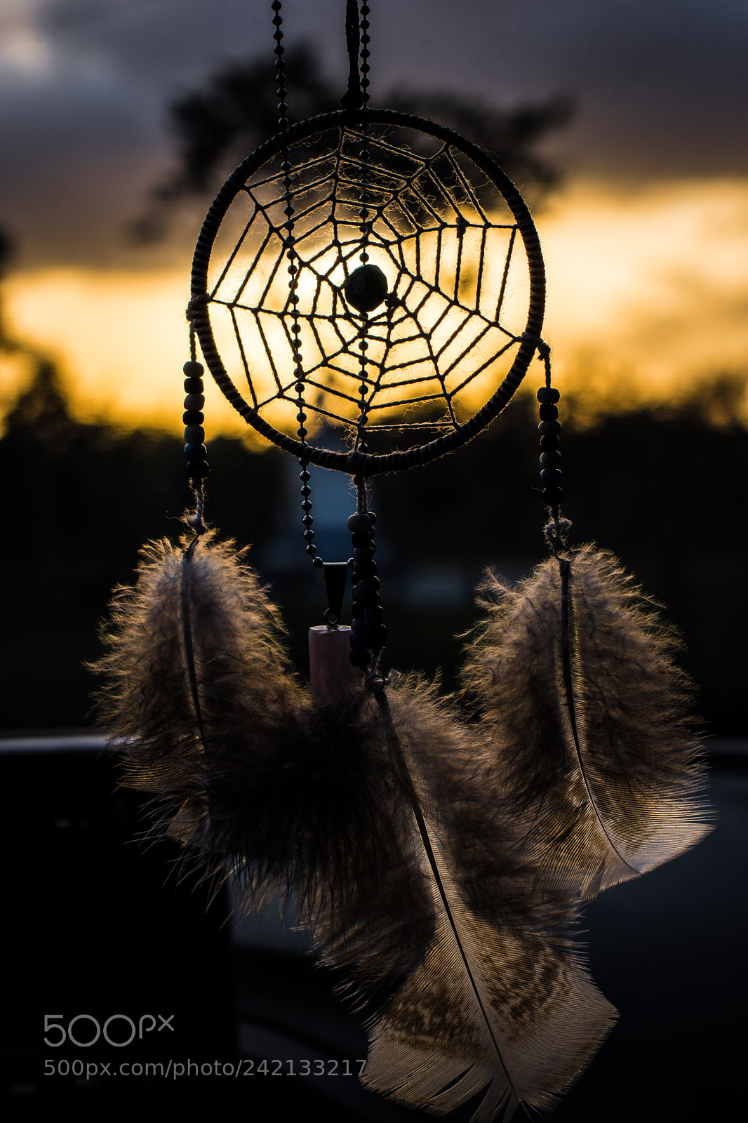 Nikon D7200 sample photo. Untitled photography