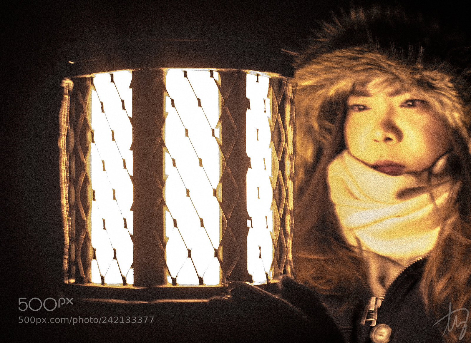 Nikon D3100 sample photo. The light photography