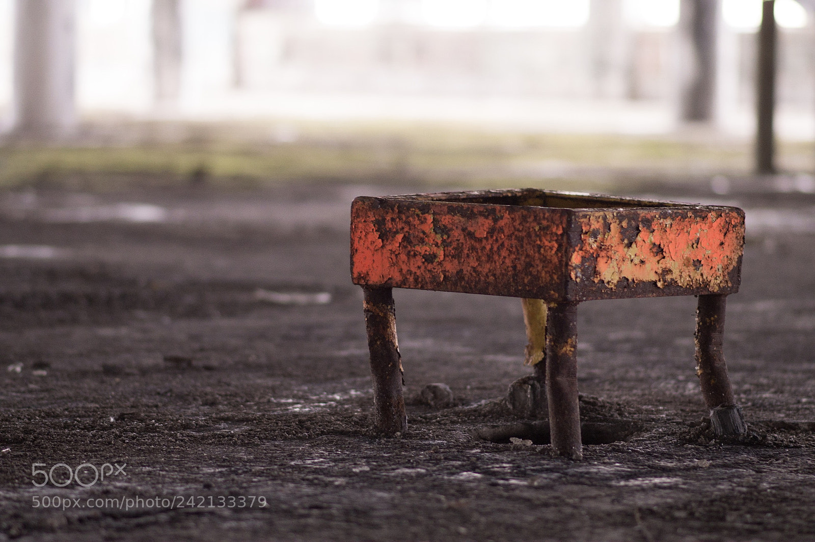 Nikon D3200 sample photo. Untitled photography
