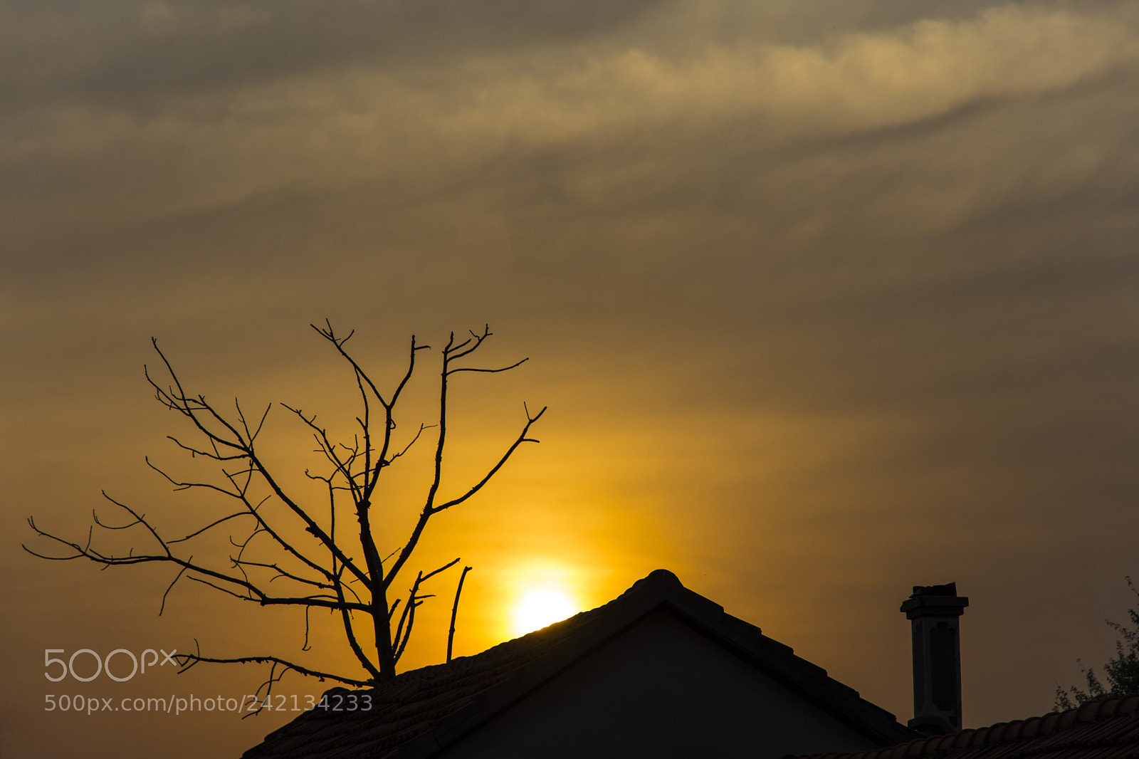 Nikon D7200 sample photo. Nightfall photography