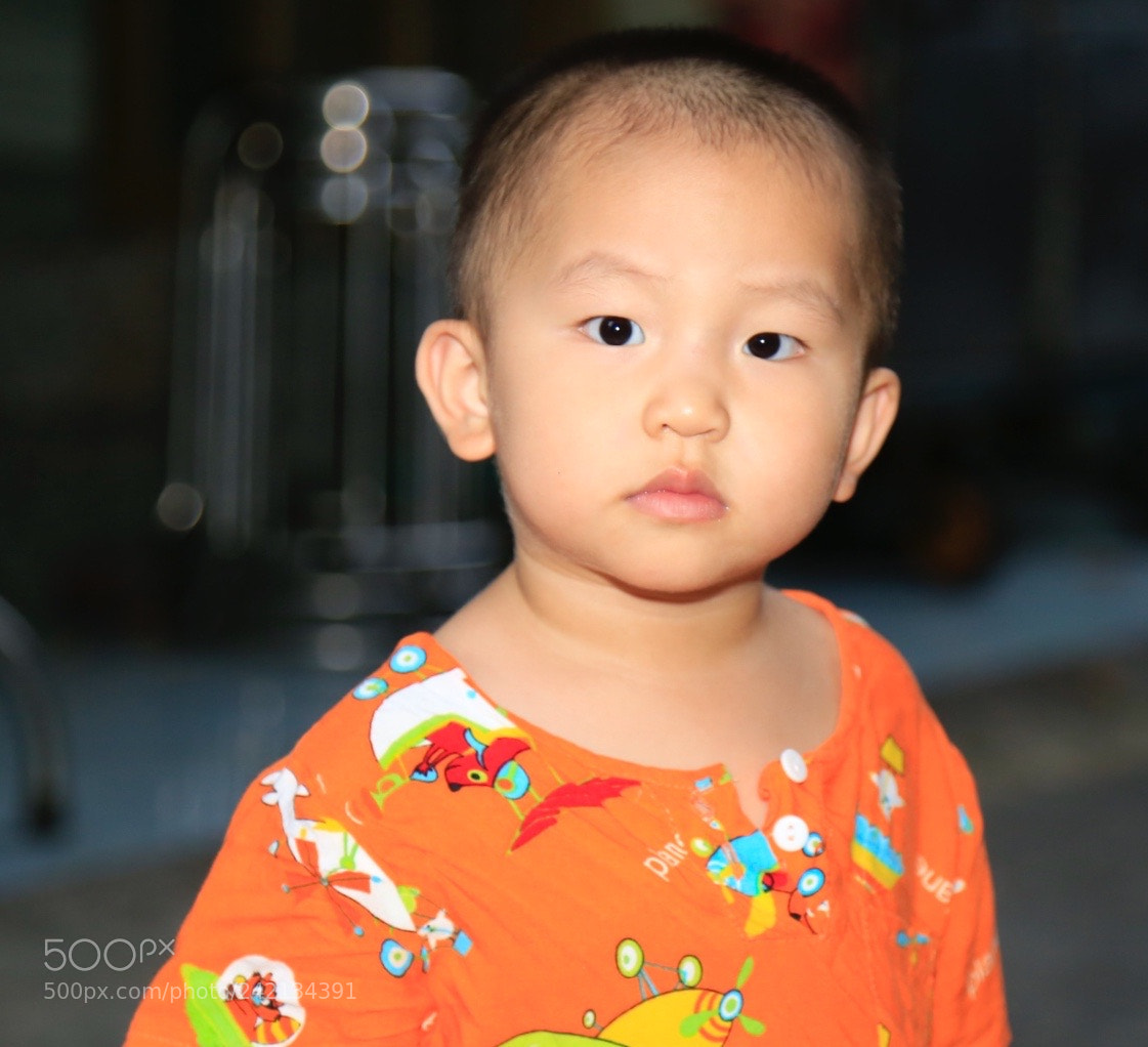 Canon EOS 6D sample photo. Untitled photography