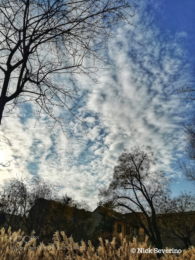 HUAWEI P9 LITE sample photo. A corner photography