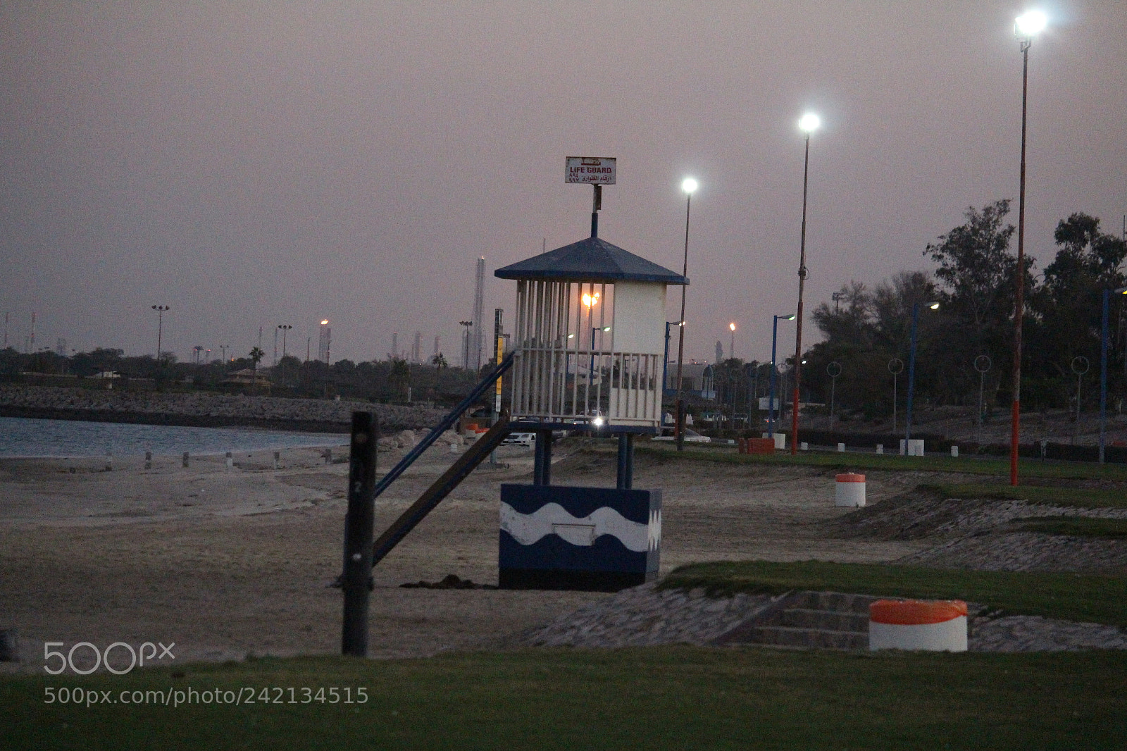 Canon EF-S 55-250mm F4-5.6 IS STM sample photo. Light photography