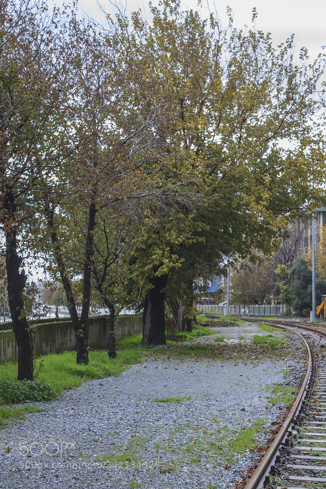 Canon EOS 450D (EOS Rebel XSi / EOS Kiss X2) sample photo. A railroad, trees and photography