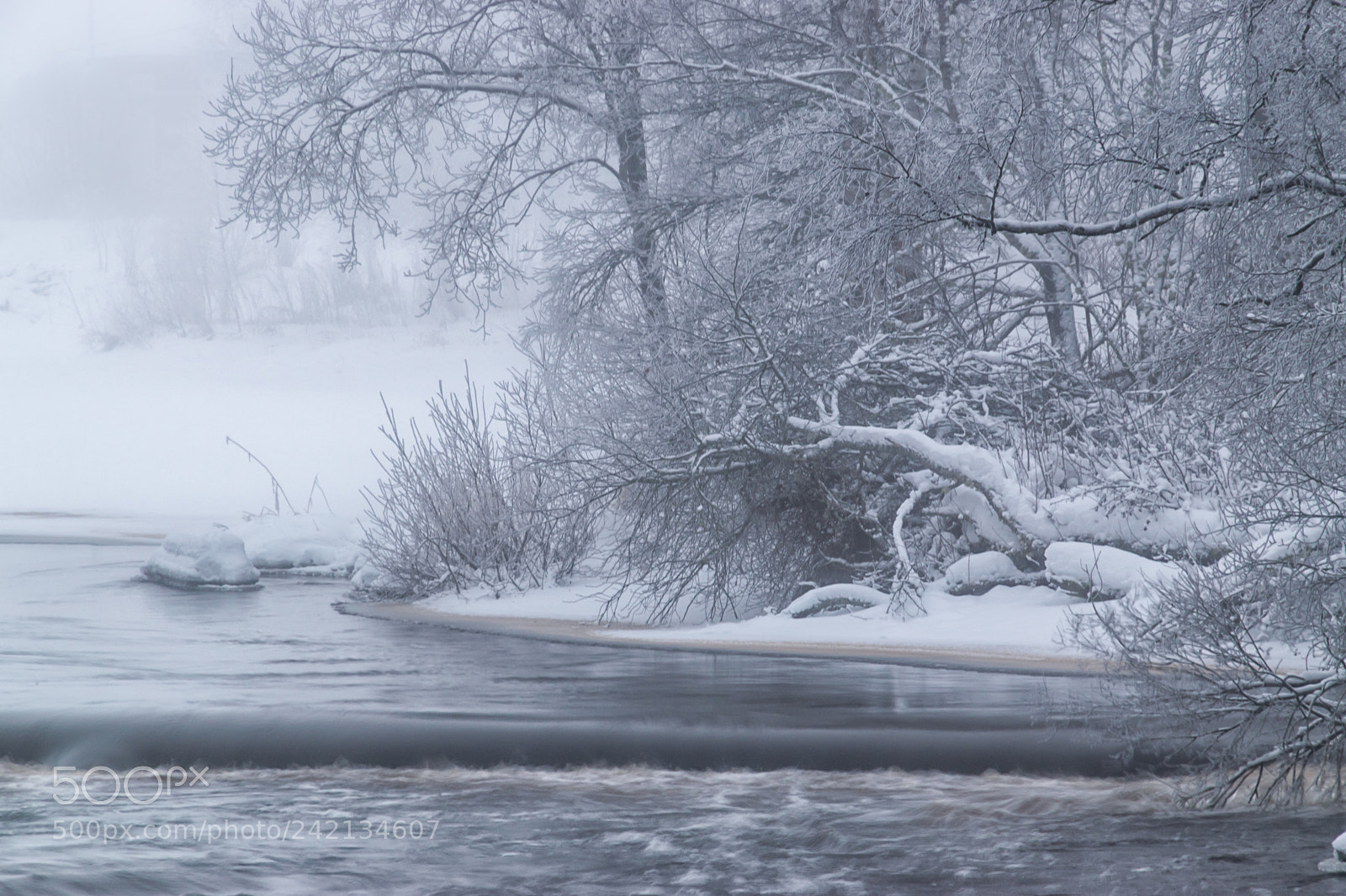 Nikon D5500 sample photo. Winter photography