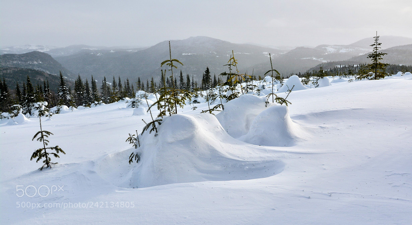 Nikon D7100 sample photo. Winter at camp mercier photography