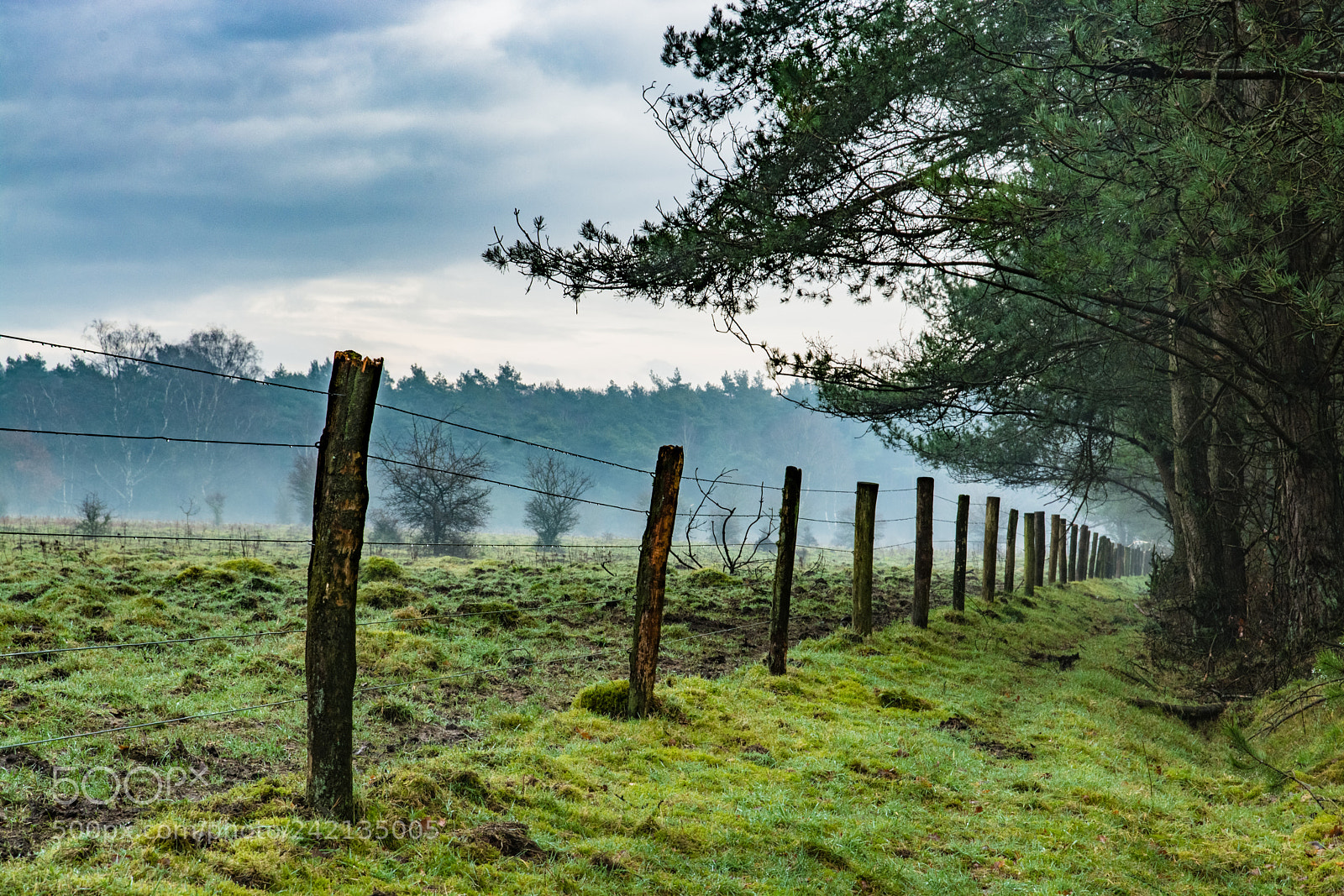 Nikon D7100 sample photo. The path to a photography