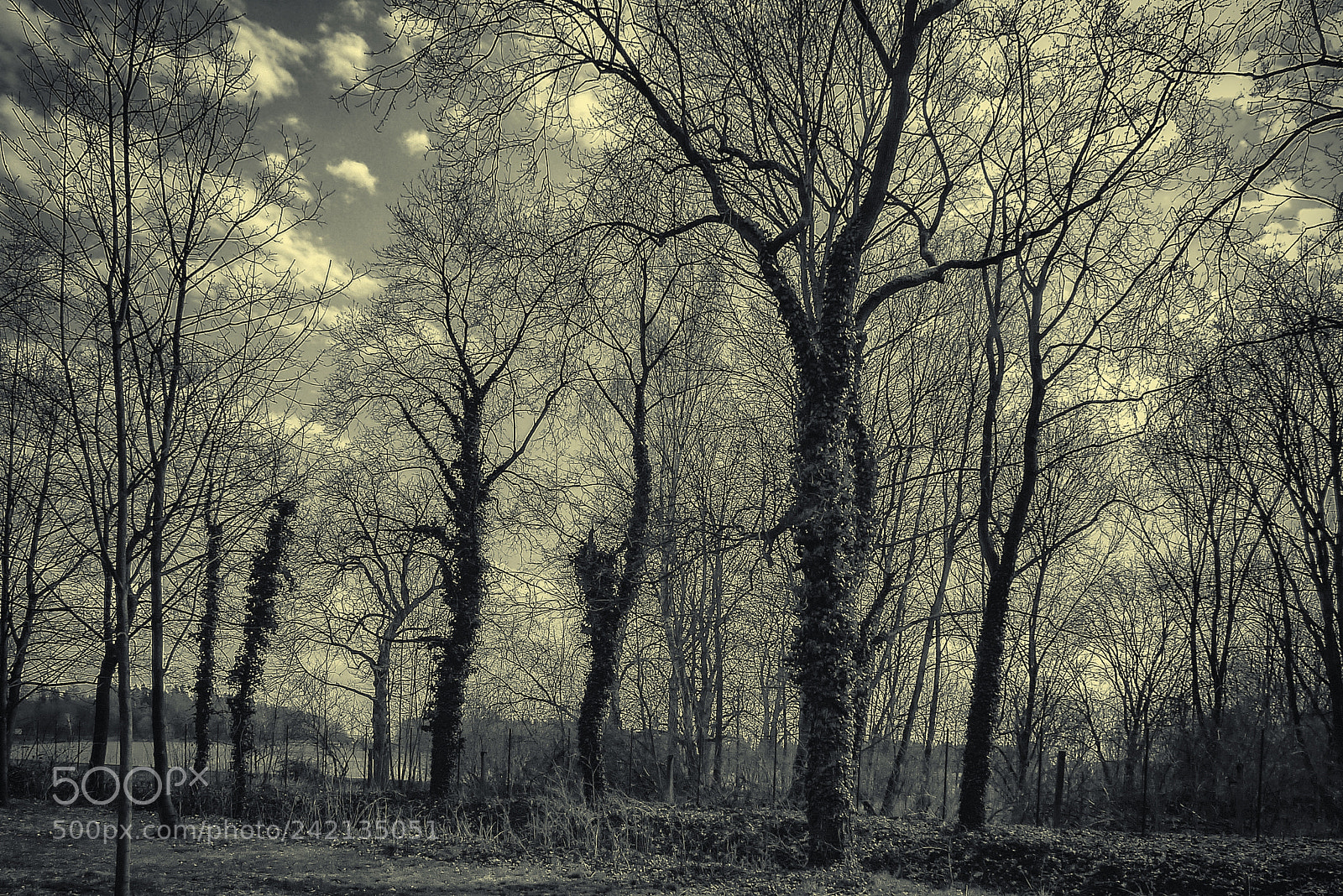 Panasonic DMC-TZ7 sample photo. Strange landscape photography