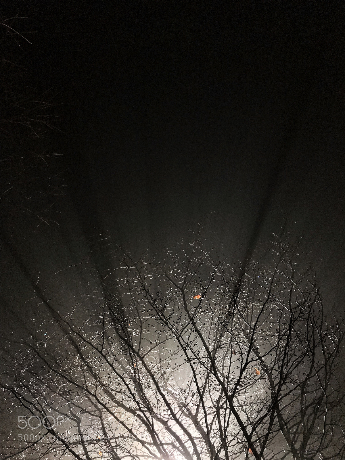 Apple iPhone 7 Plus sample photo. Light of night photography