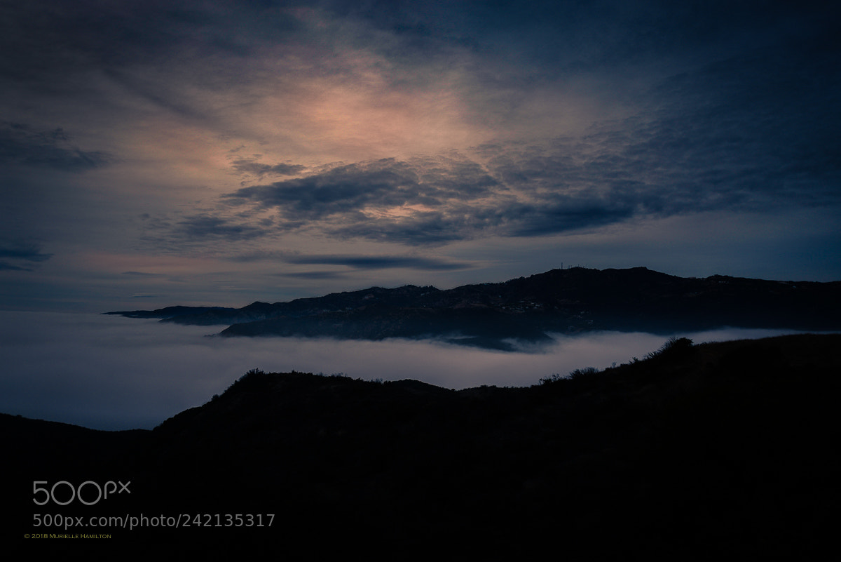 Nikon D800 sample photo. Night falls on the photography