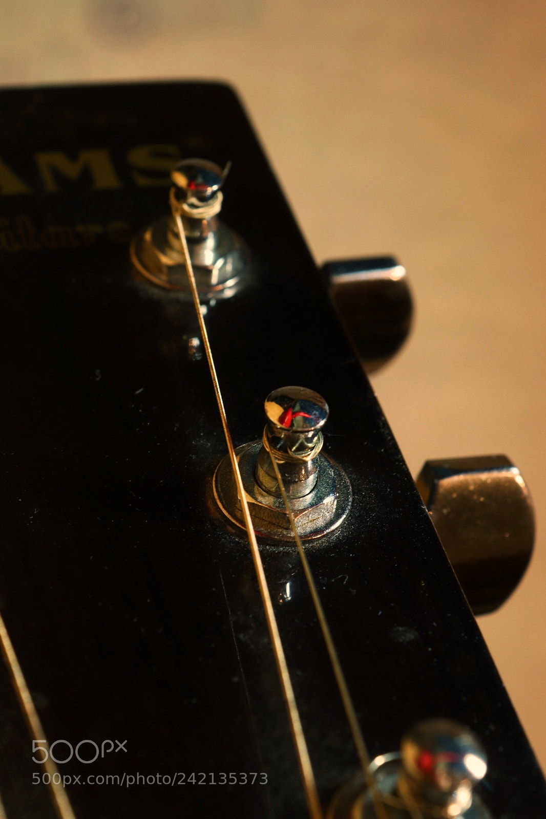 Canon EOS 200D (EOS Rebel SL2 / EOS Kiss X9) sample photo. Guitar 2 photography