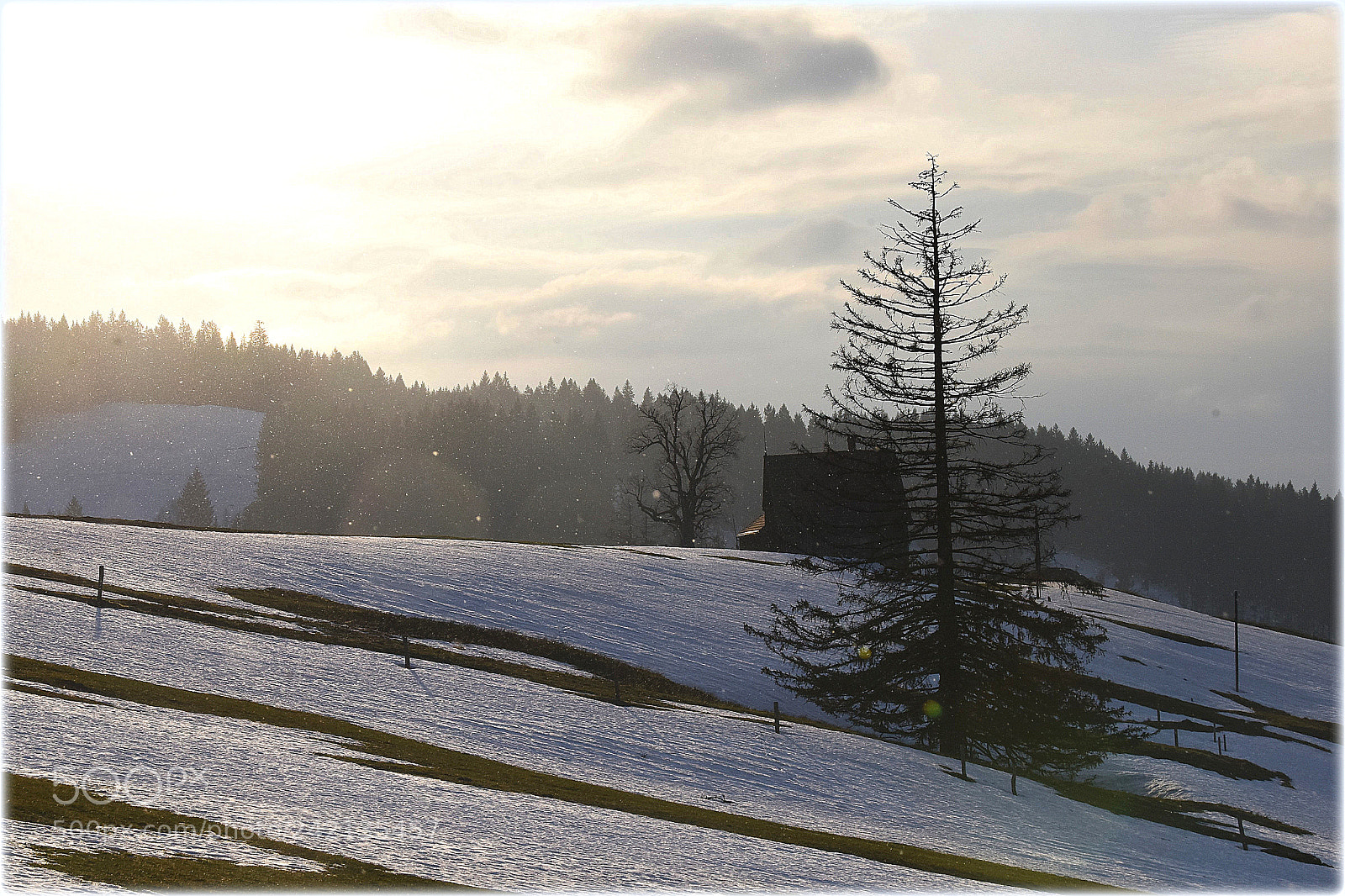 Nikon D810 sample photo. "sundown" photography