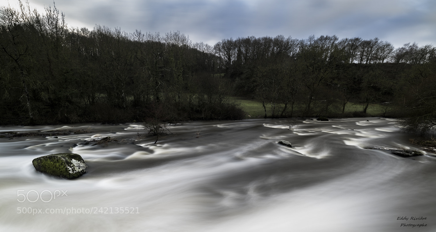 Nikon D810 sample photo. Rochard photography