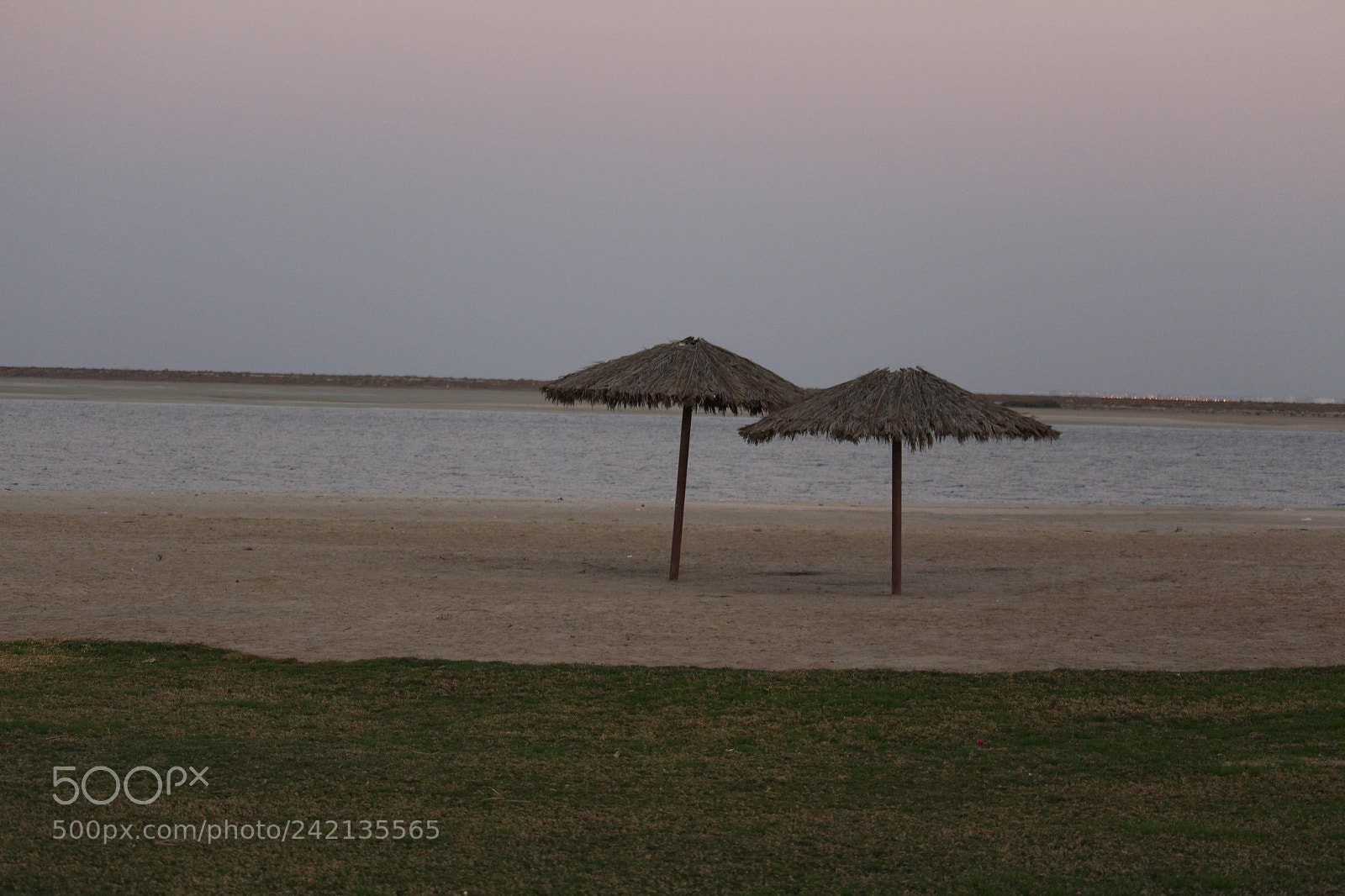 Canon EF-S 55-250mm F4-5.6 IS STM sample photo. Thatch at the beach photography