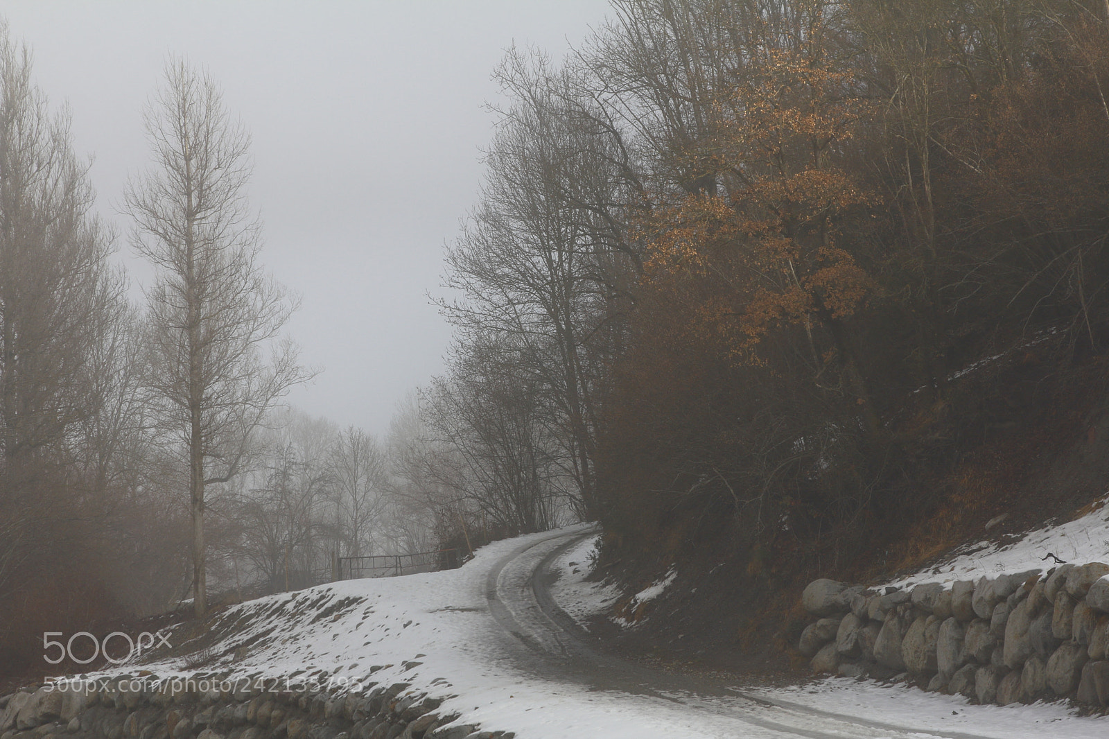 Canon EOS 60D + Canon EF 24-105mm F4L IS USM sample photo. Some color in fog photography