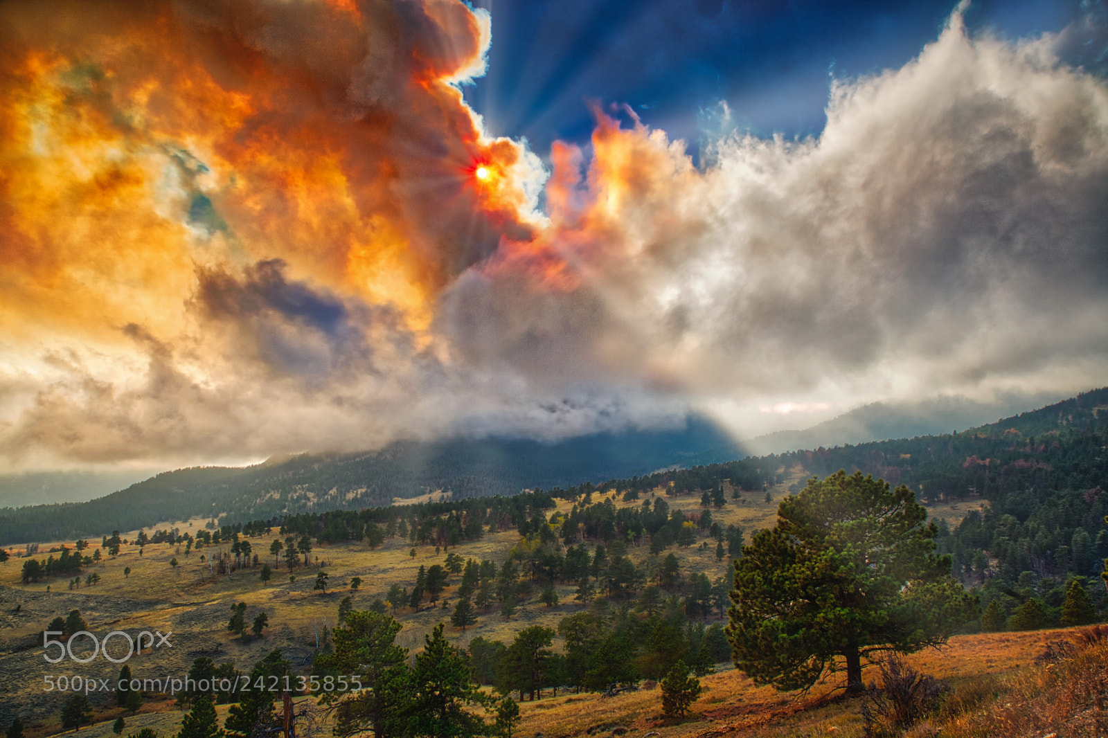 Canon EOS 5D sample photo. Fern lake fire, day photography