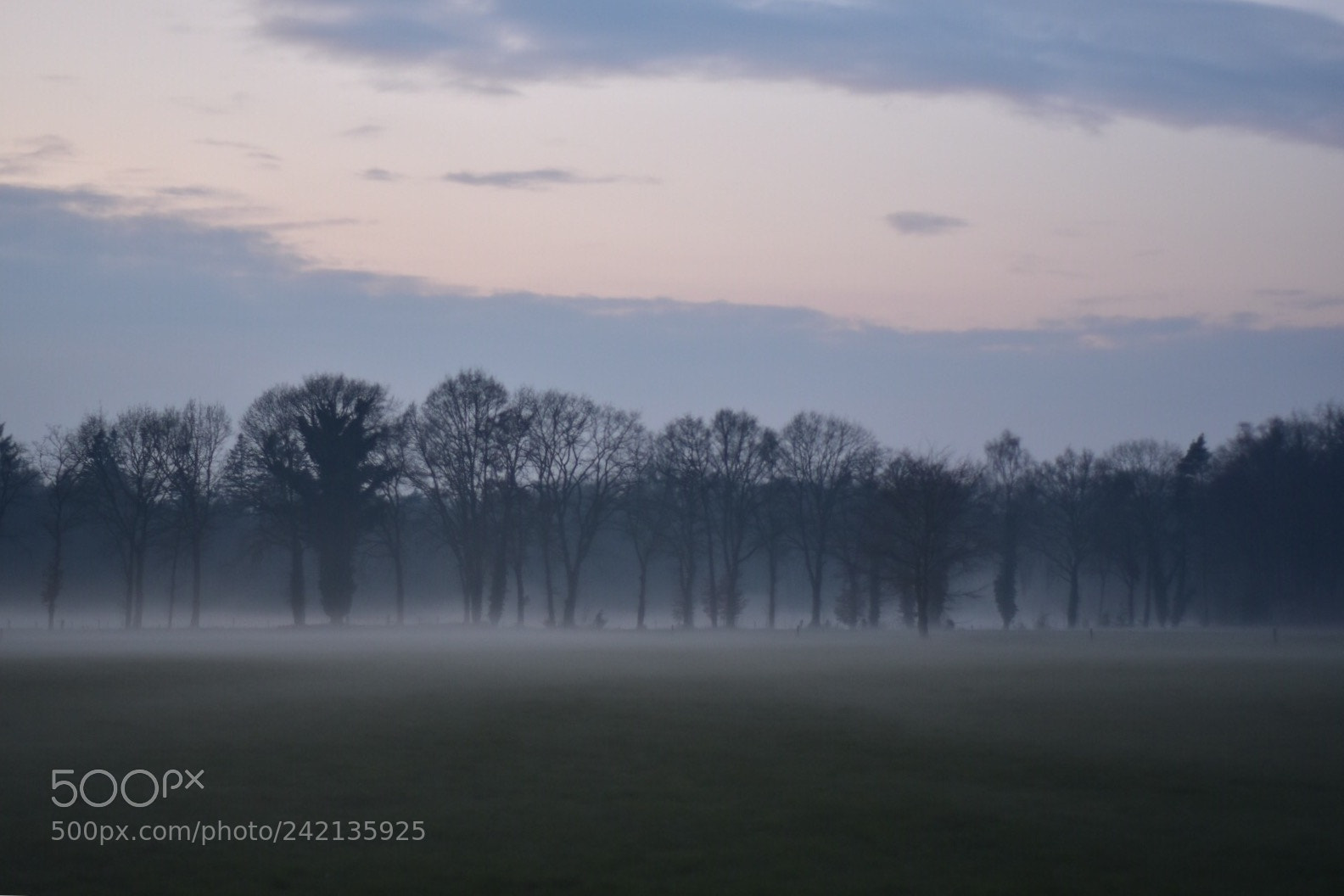 Nikon D5500 sample photo. Misty landscape photography