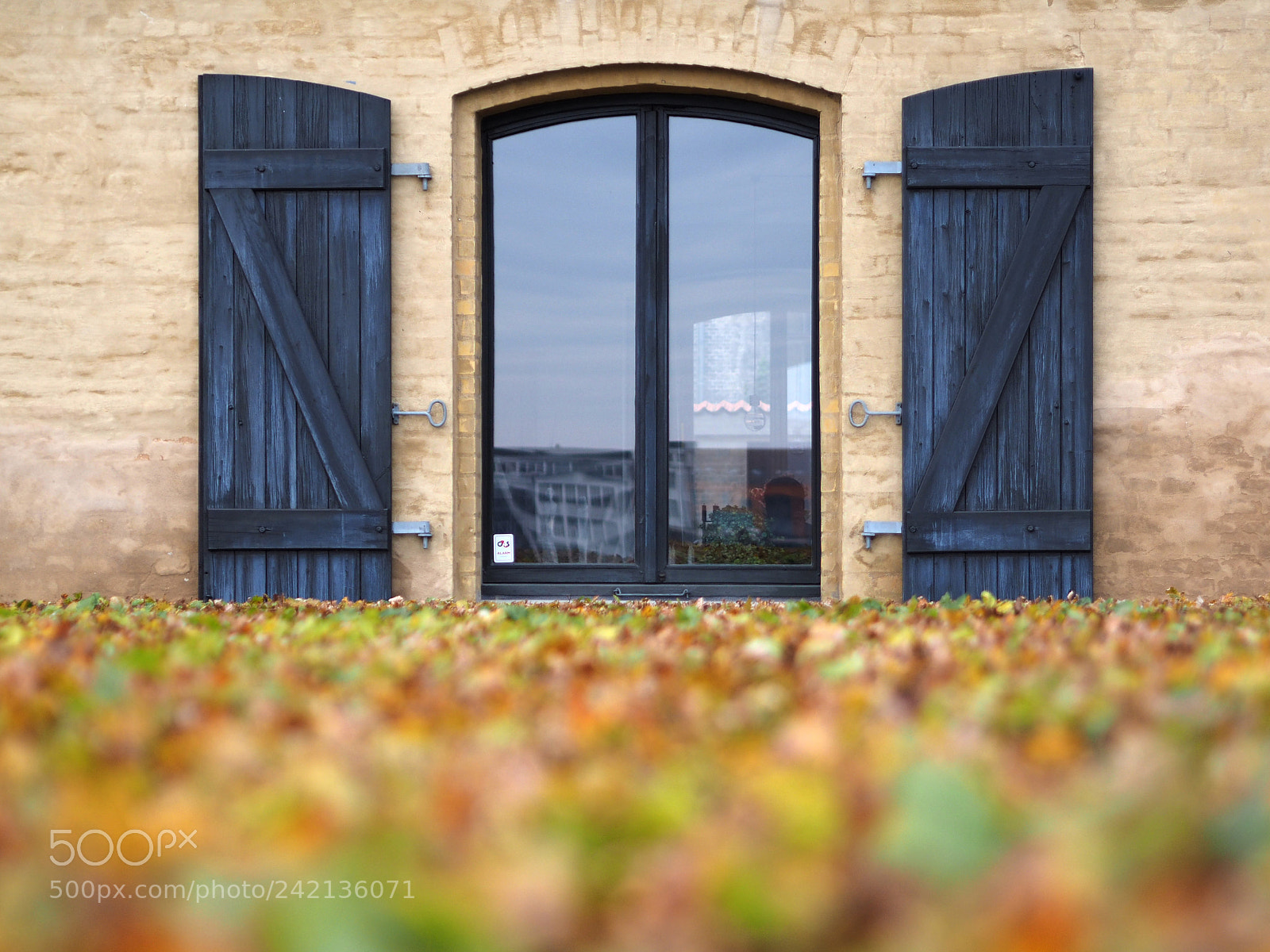 Olympus OM-D E-M1 sample photo. The window photography