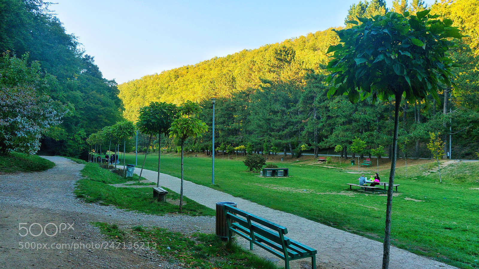 Sony Alpha NEX-5T sample photo. Untitled photography