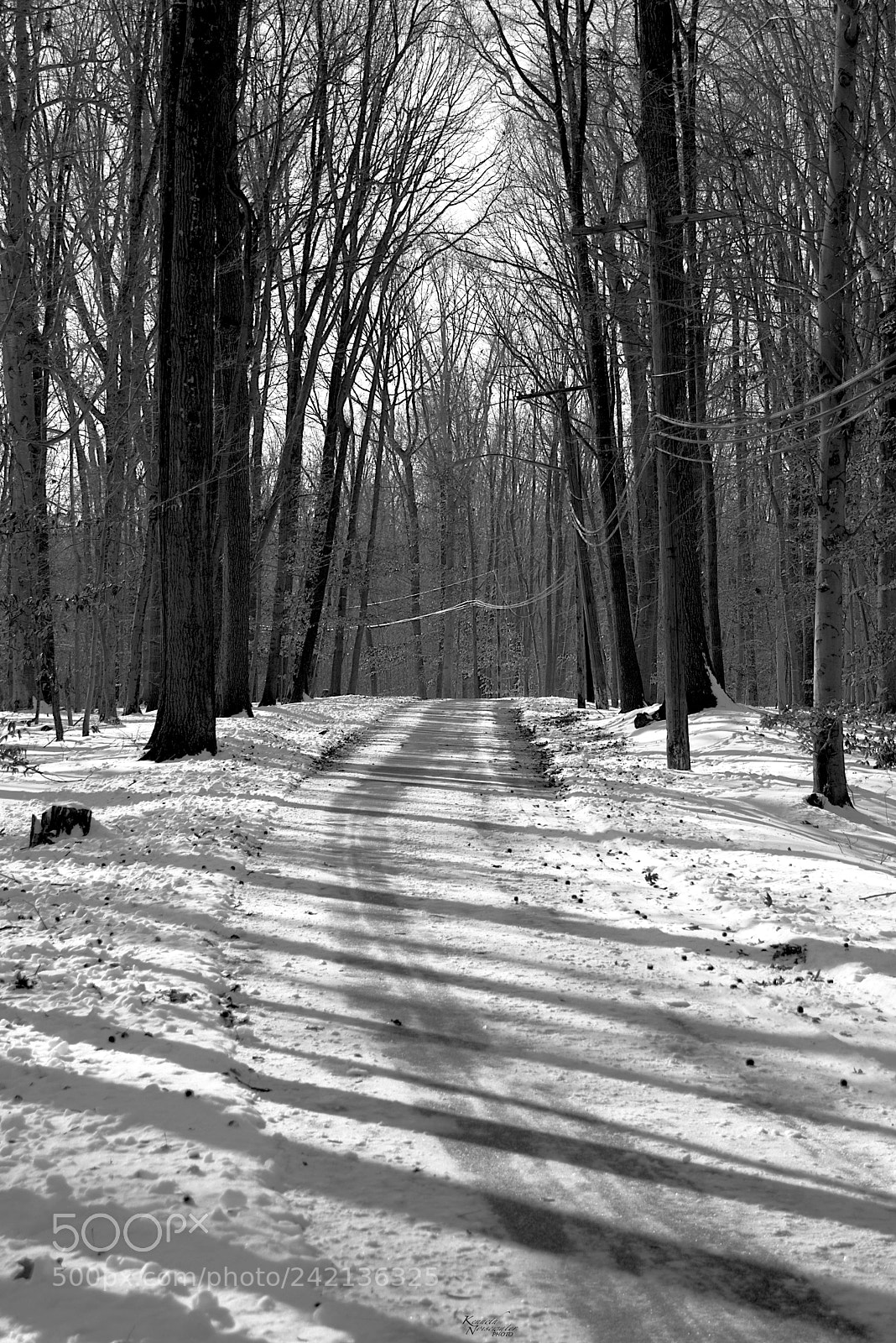 Canon EOS M5 sample photo. Wintery road photography