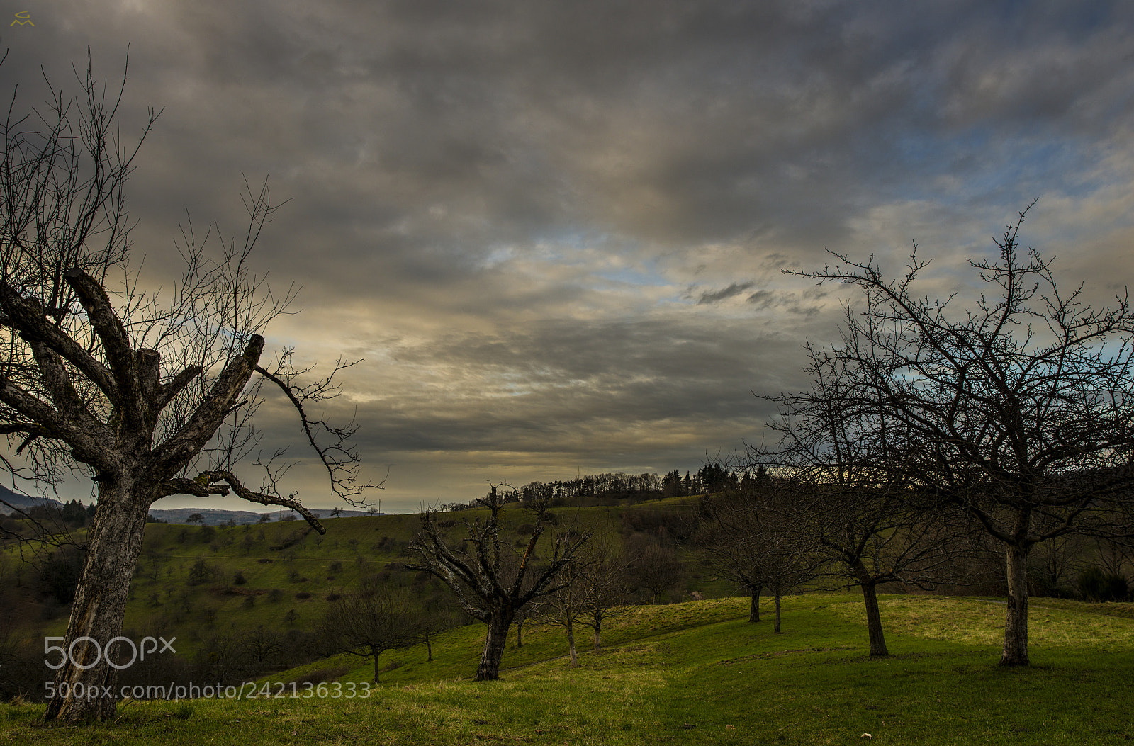 Nikon D800 sample photo. Black forest - 3 photography