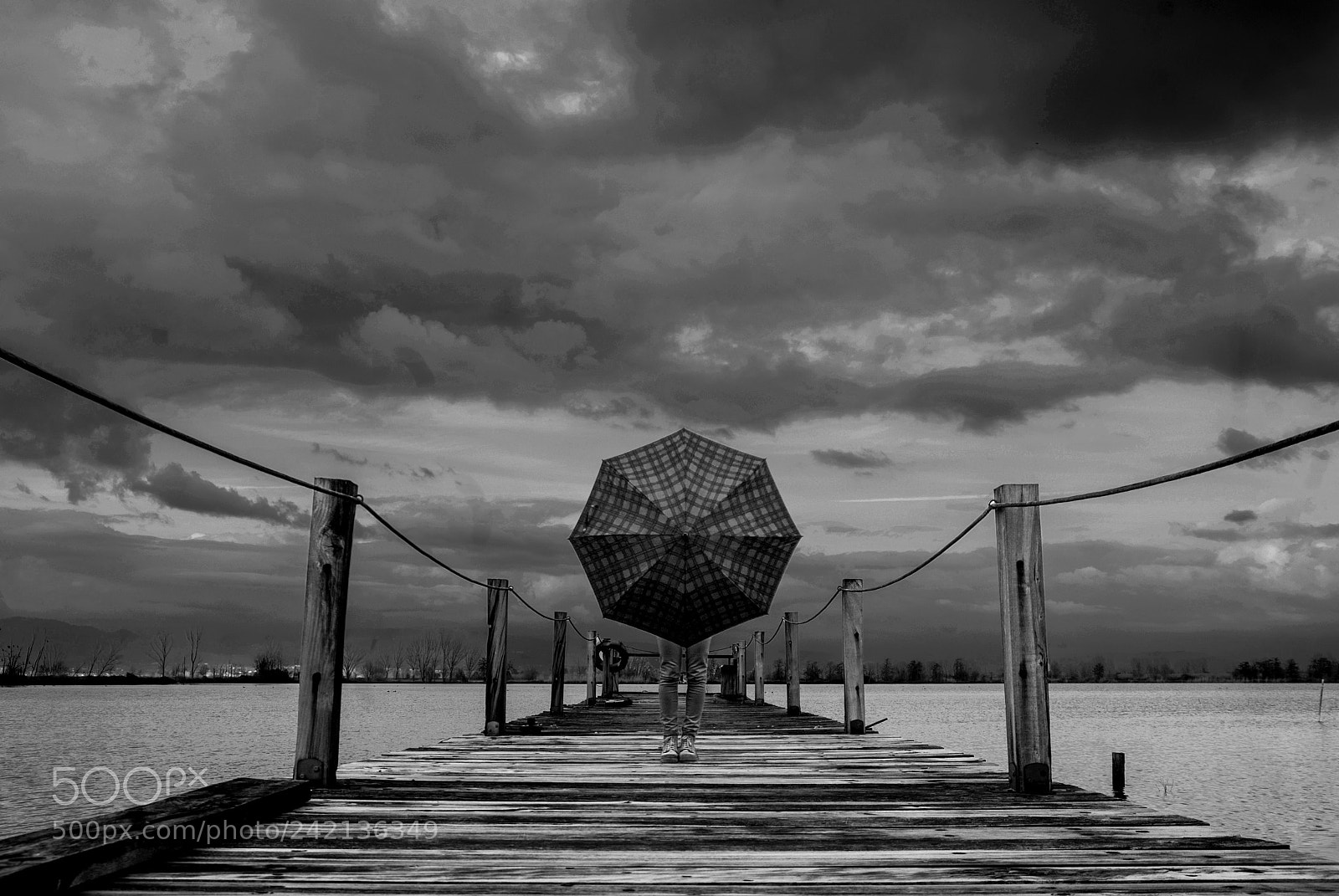 Nikon D200 sample photo. Bw-abstract photography