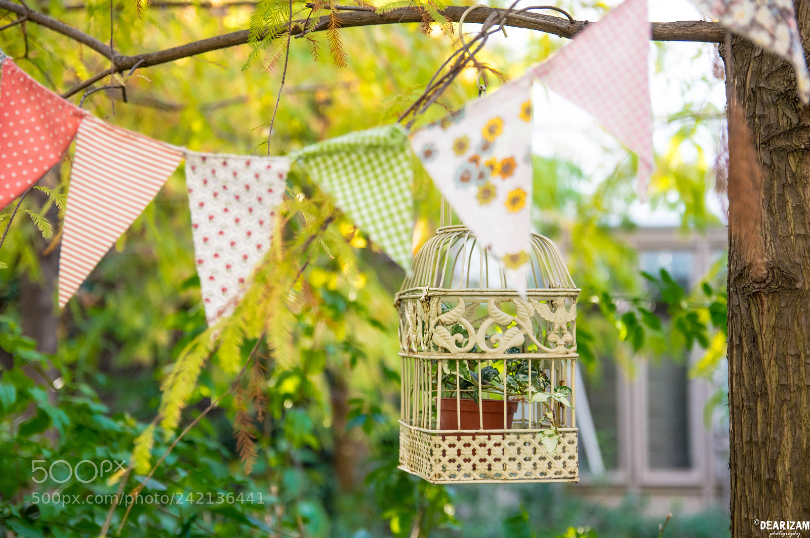 Pentax K-3 II sample photo. Untitled photography
