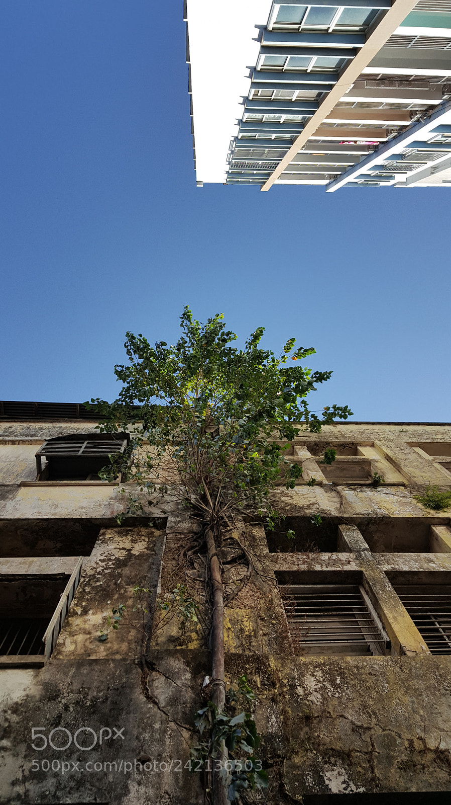 Samsung Galaxy Note5 sample photo. Try photography