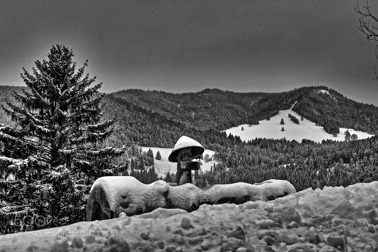 Nikon D850 sample photo. Winter dreams photography