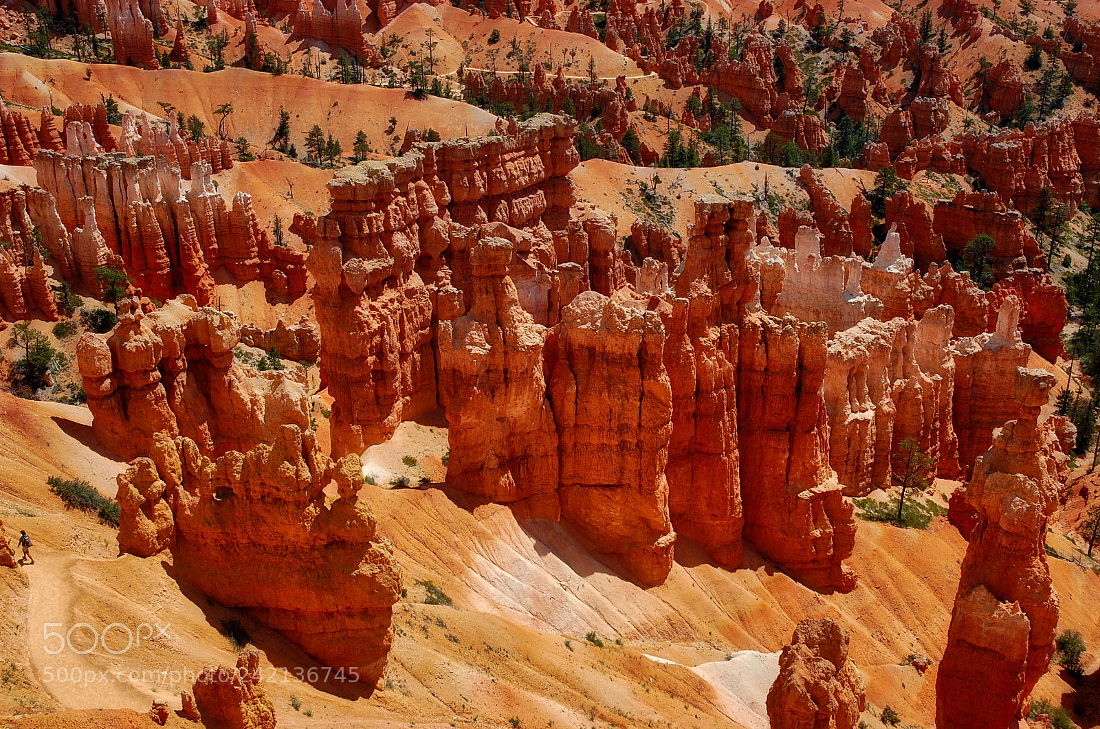 Nikon D40 sample photo. Hiking in bryce canyon ... photography