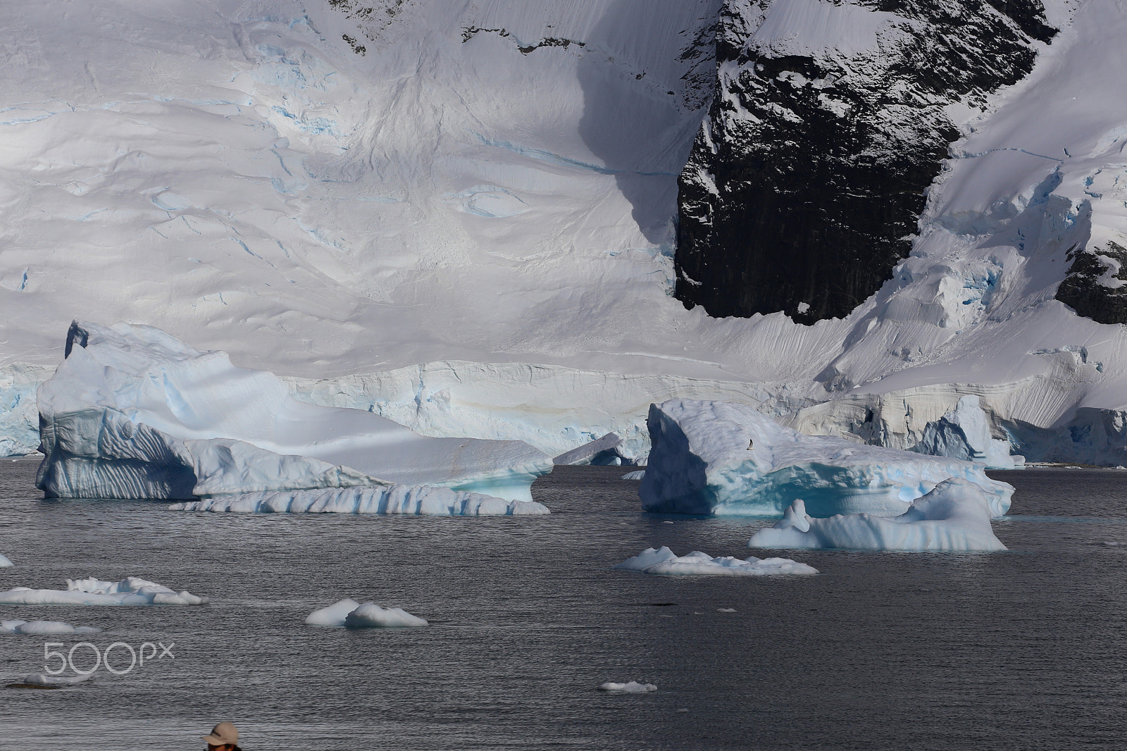 Canon EOS 6D + Canon EF 70-200mm F4L USM sample photo. 7th continent so close photography