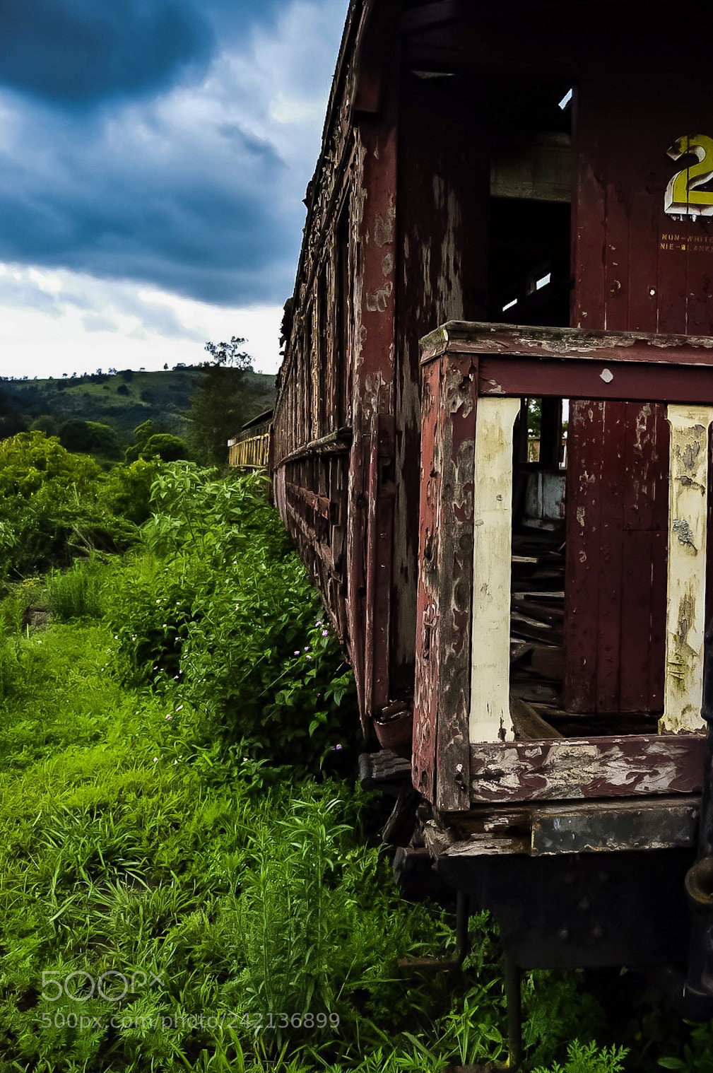 Nikon D3200 sample photo. Untitled photography