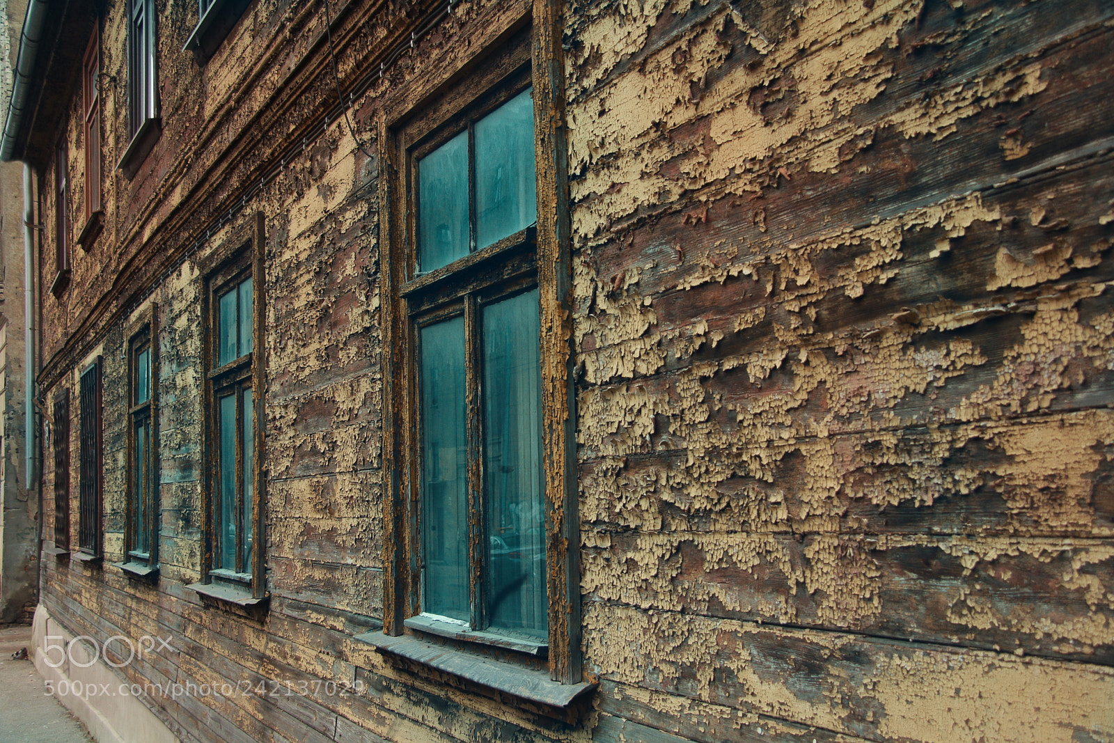 Canon EOS 60D sample photo. Window photography