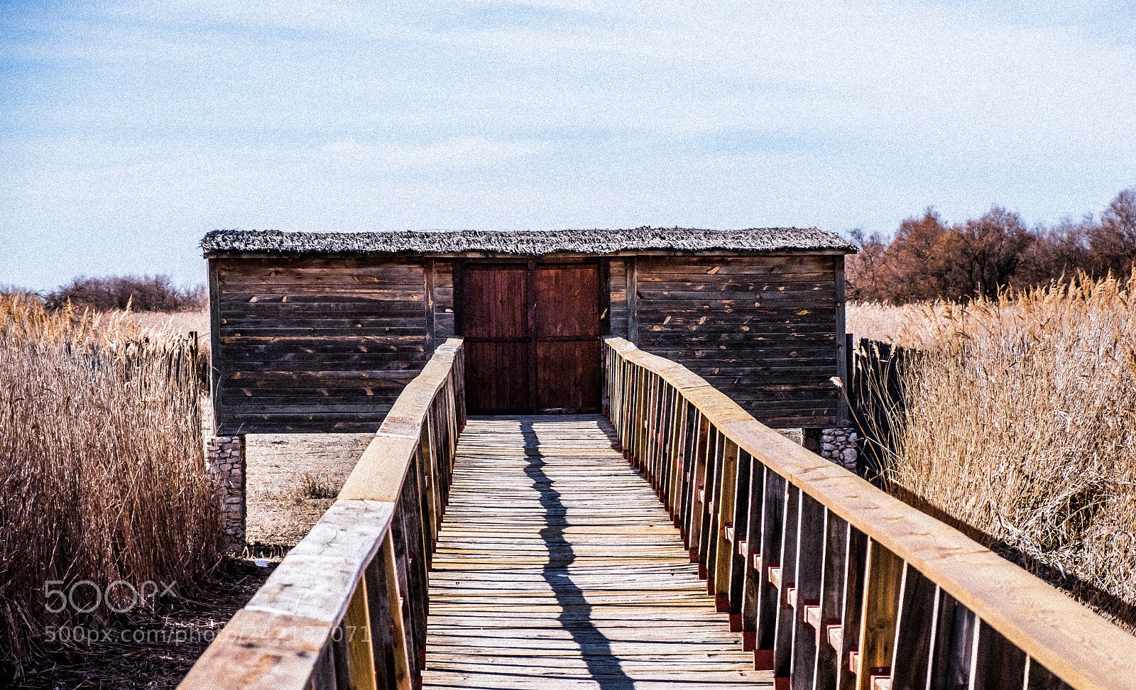 Fujifilm X-T2 sample photo. Grainy shed in daimiel photography