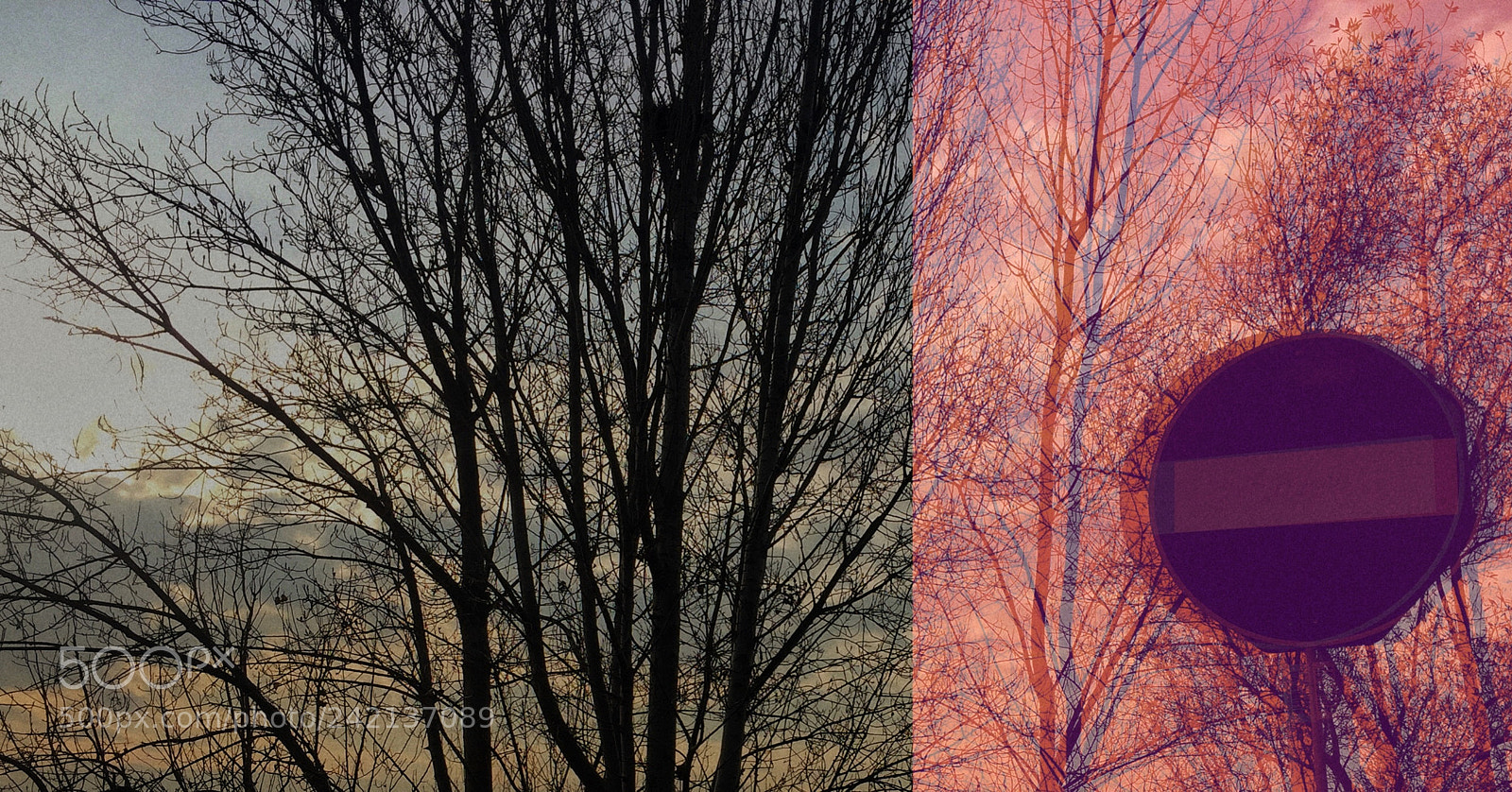 Apple iPhone 6 sample photo. ⛔️ photography