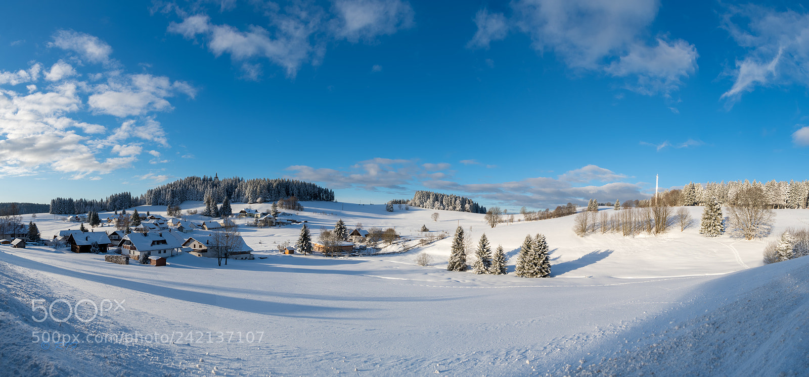 Nikon D500 sample photo. Wintertime at engelschwand photography