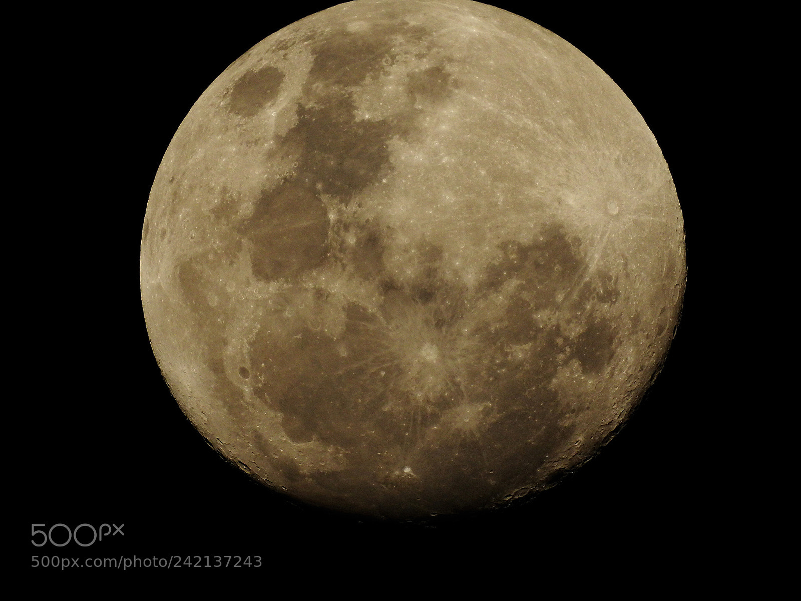 Nikon Coolpix P900 sample photo. Moon photography