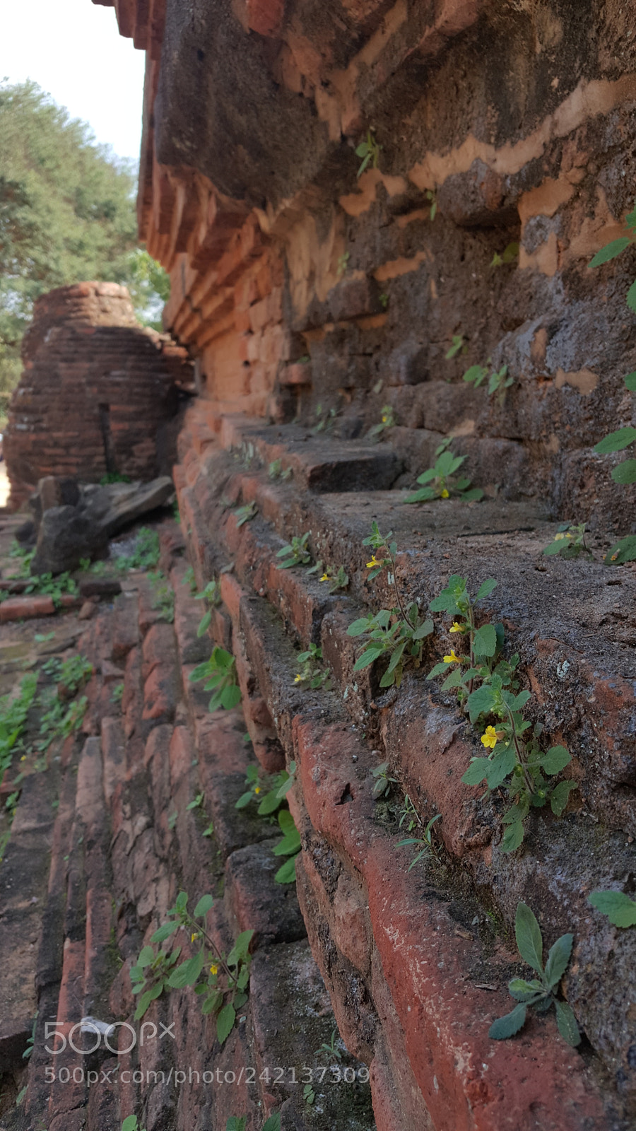 Samsung Galaxy Note5 sample photo. Ancient photography