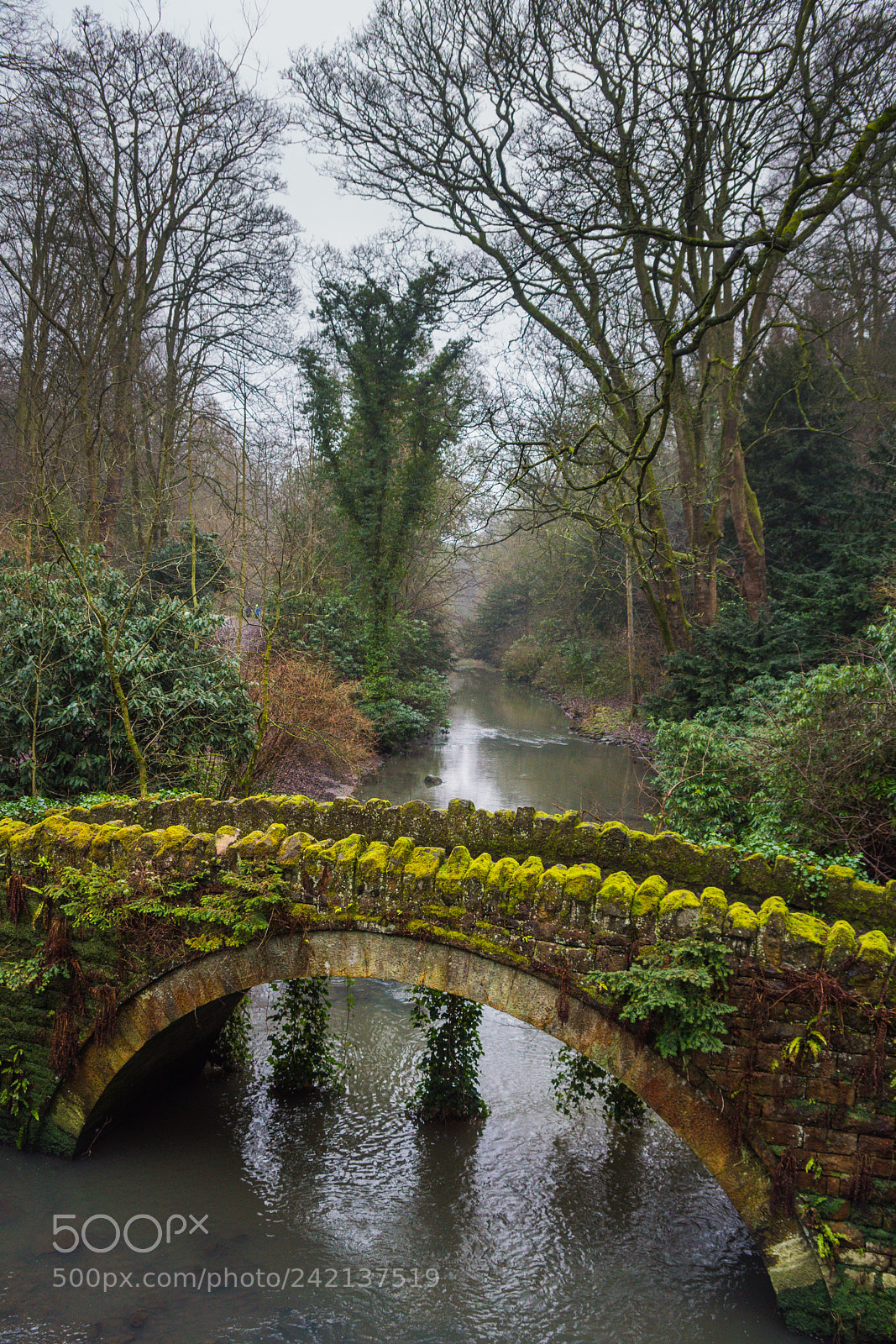 Sony SLT-A68 sample photo. A solitary wander photography