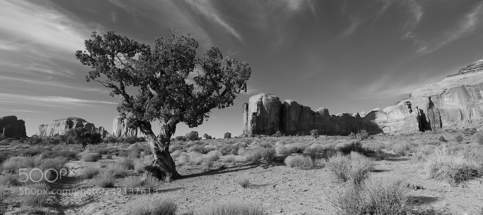 Nikon D4 sample photo. Day 3 - monument photography