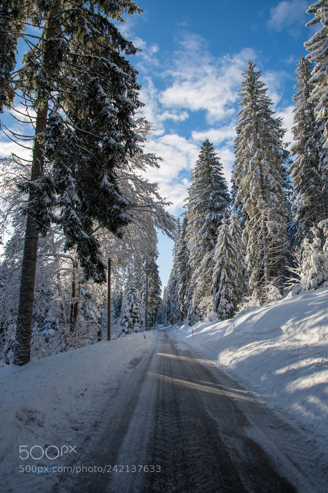 Nikon D500 sample photo. Winter photography