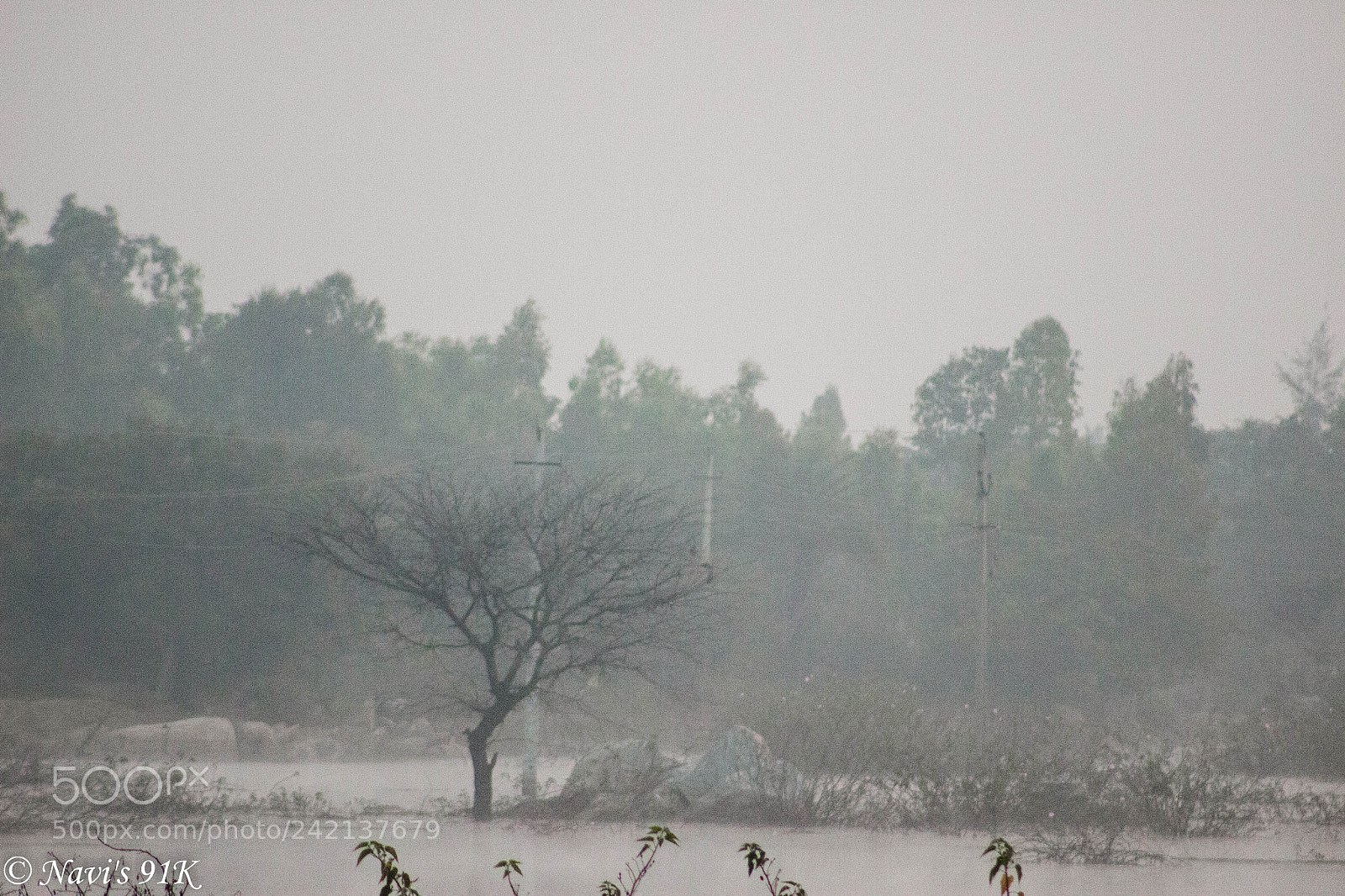 Canon EOS 100D (EOS Rebel SL1 / EOS Kiss X7) sample photo. Morning bliss photography
