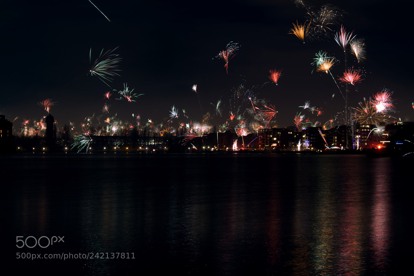 Nikon D5600 sample photo. Silvester photography