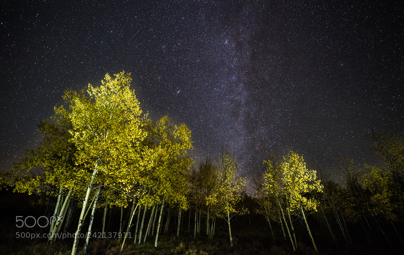 Nikon D810 sample photo. Milky way through the photography