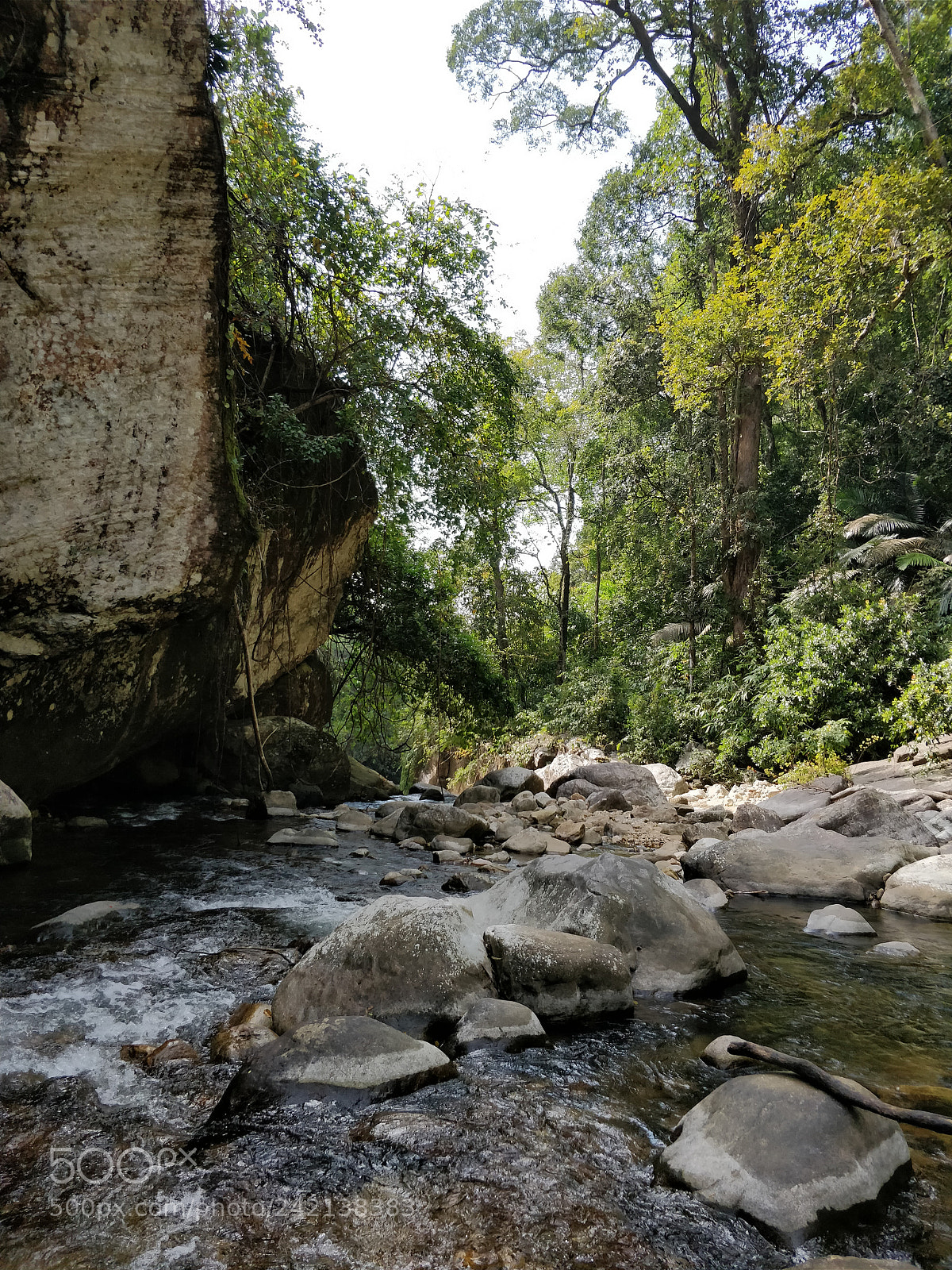 OnePlus 5 sample photo. Untitled photography