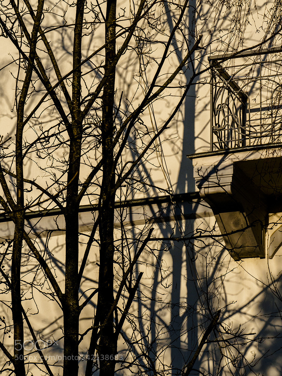 Olympus OM-D E-M10 sample photo. Modern from madeleine to photography